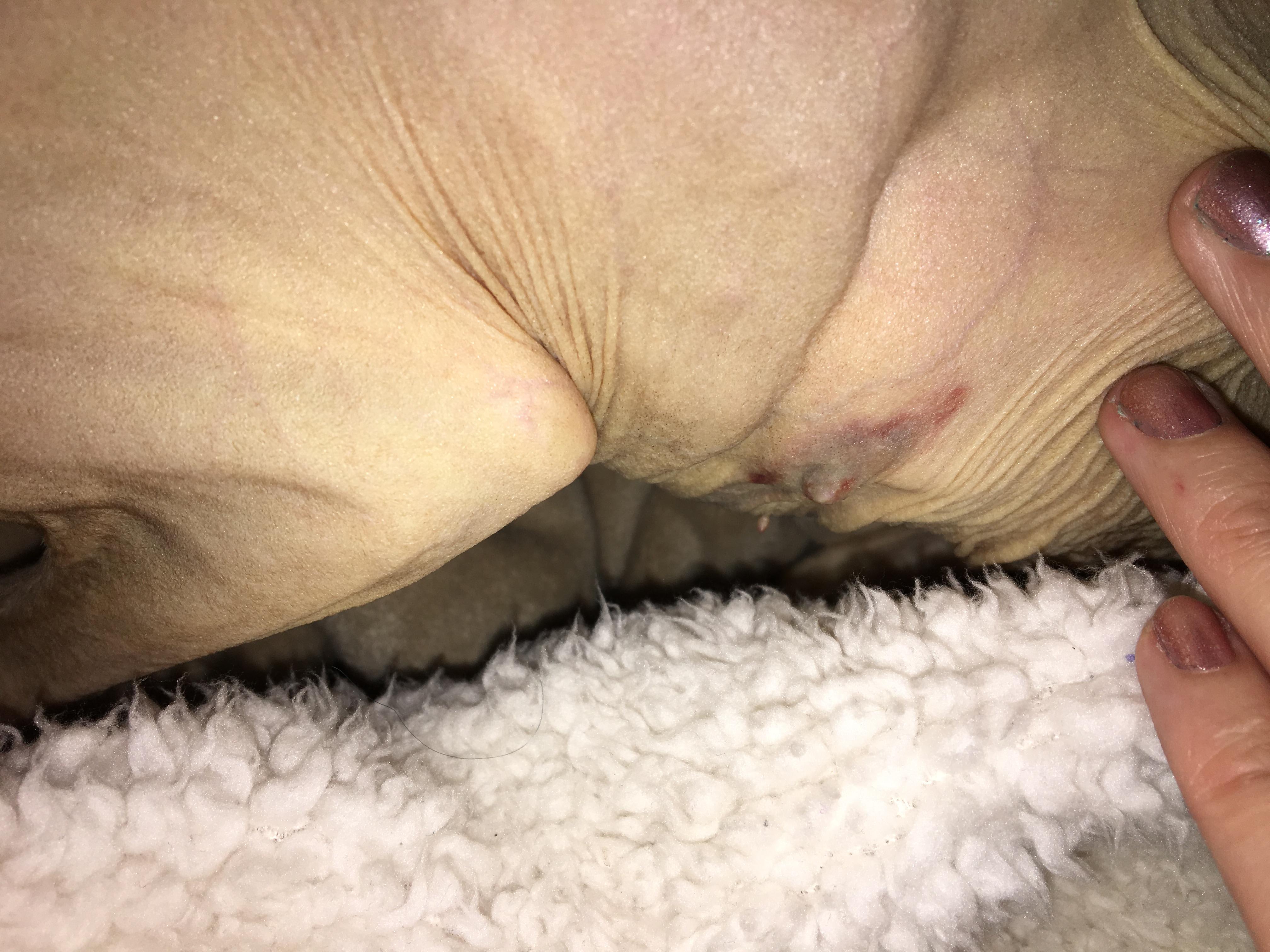 Question details sensitive content