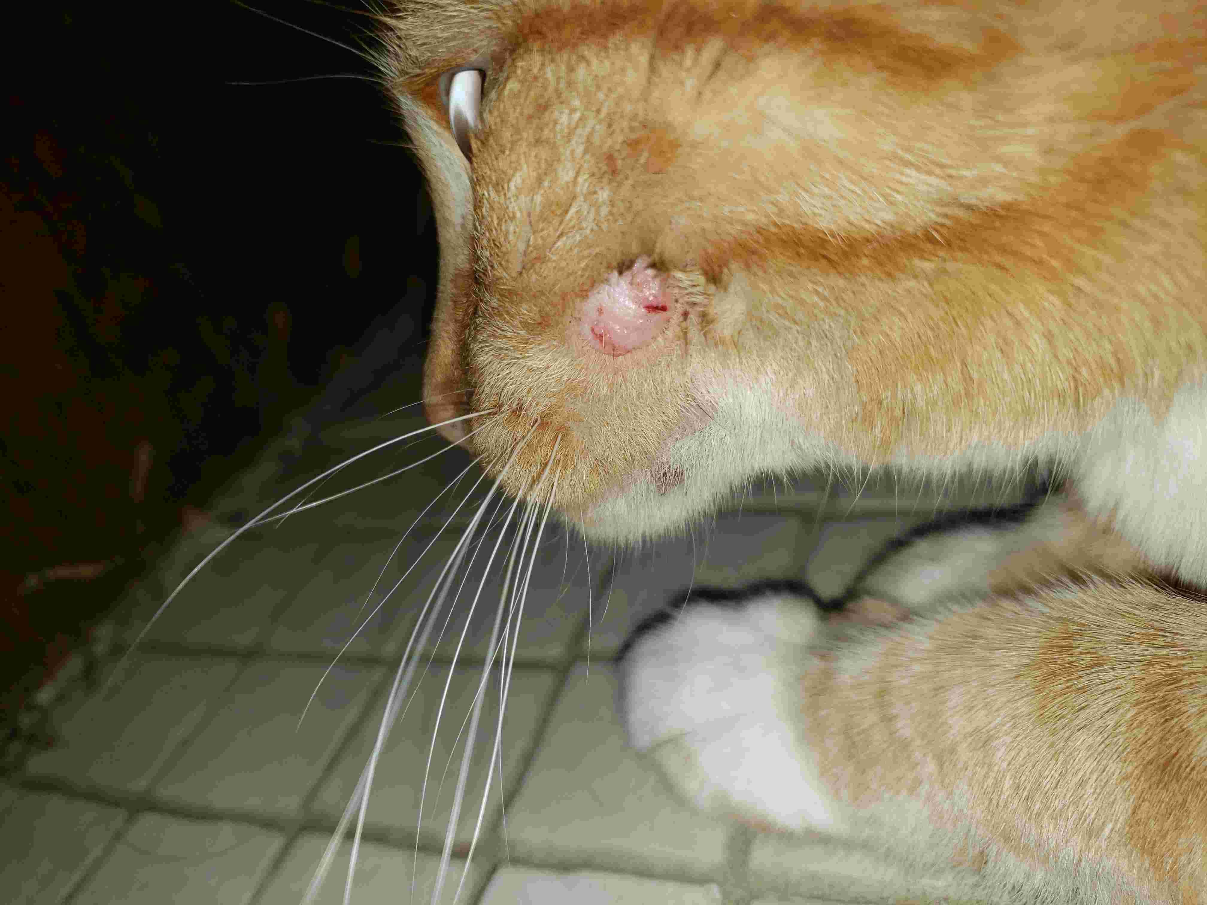 Question details sensitive content