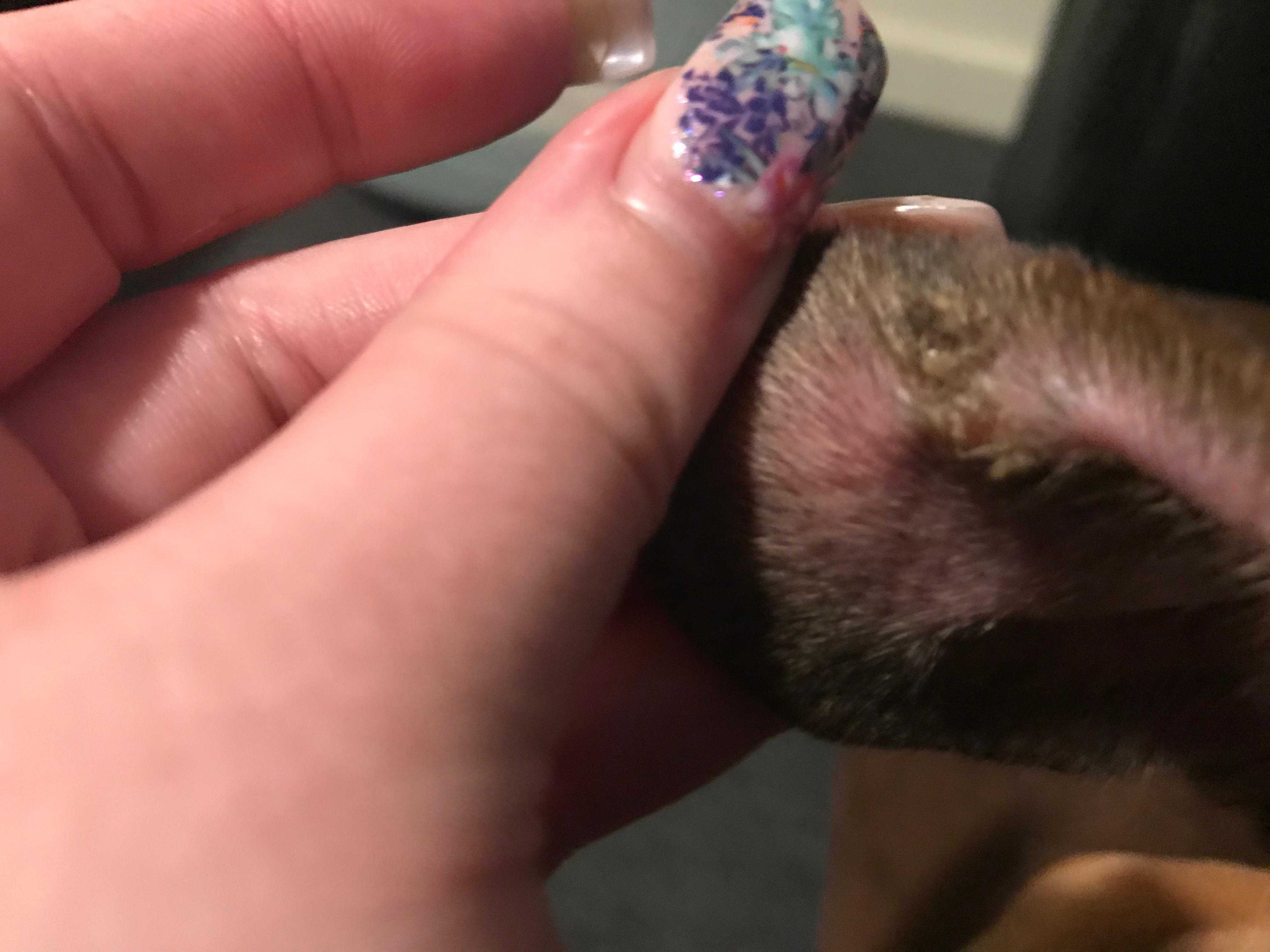 Question details sensitive content