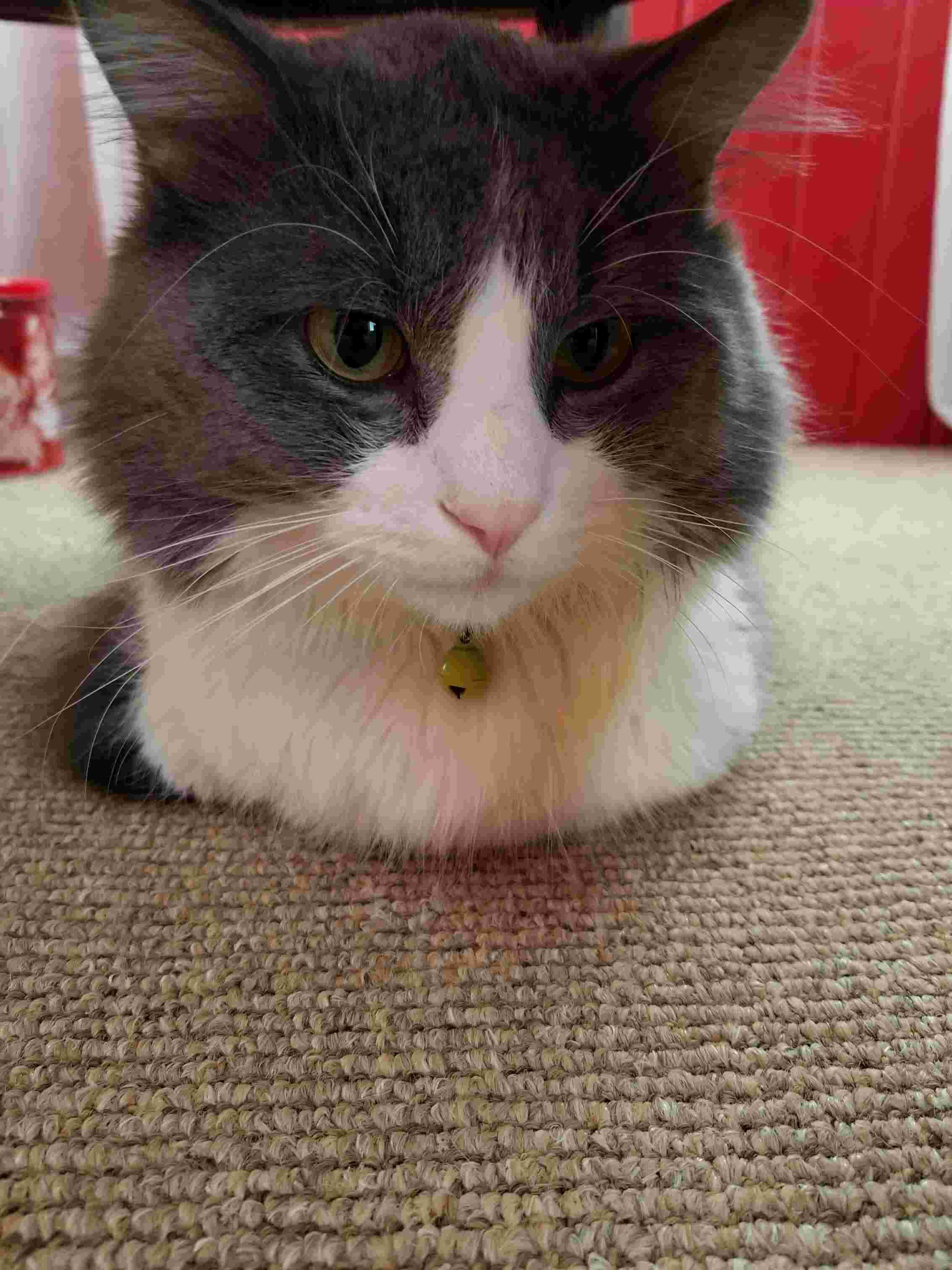 Question details sensitive content