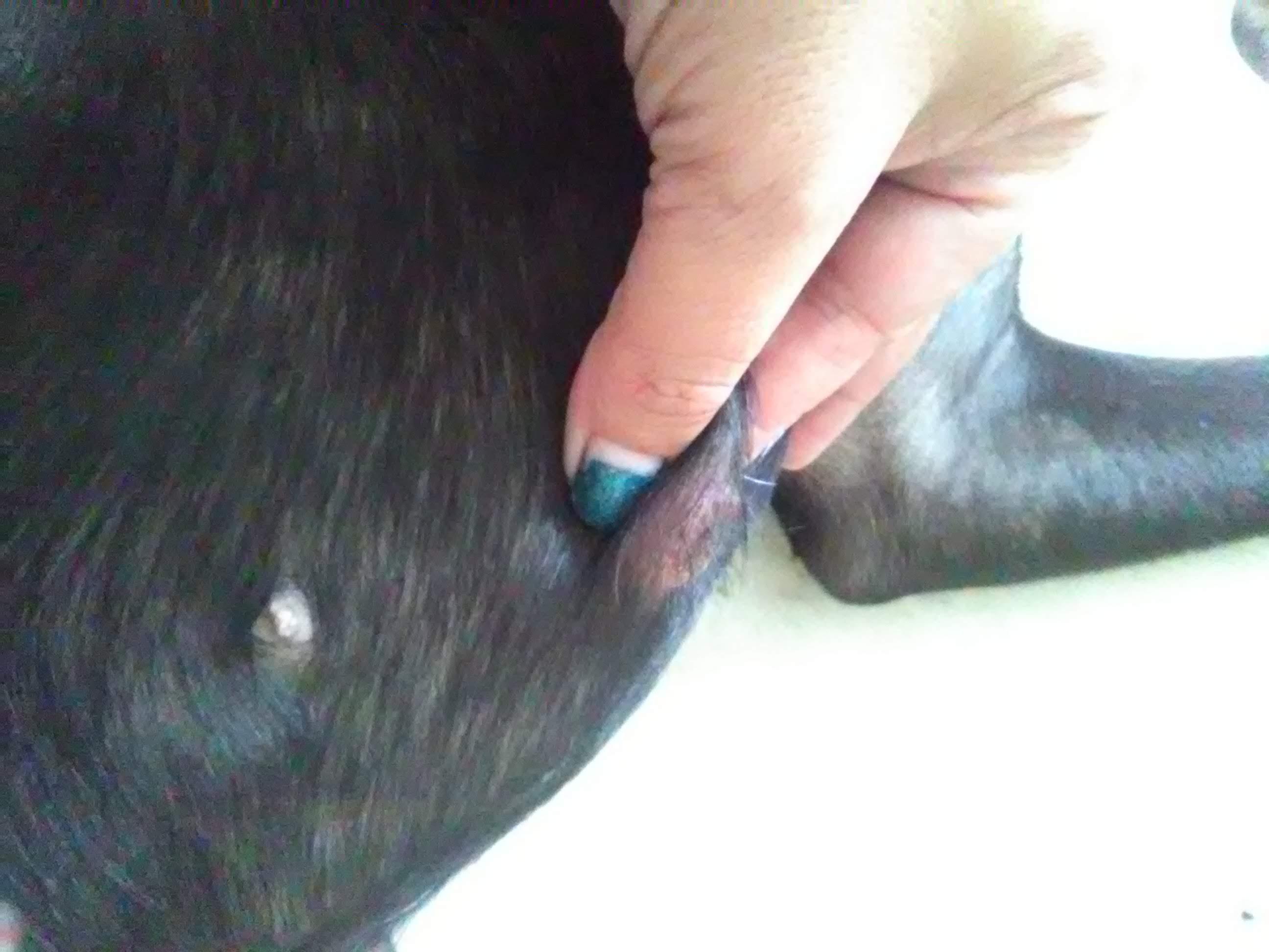 Question details sensitive content