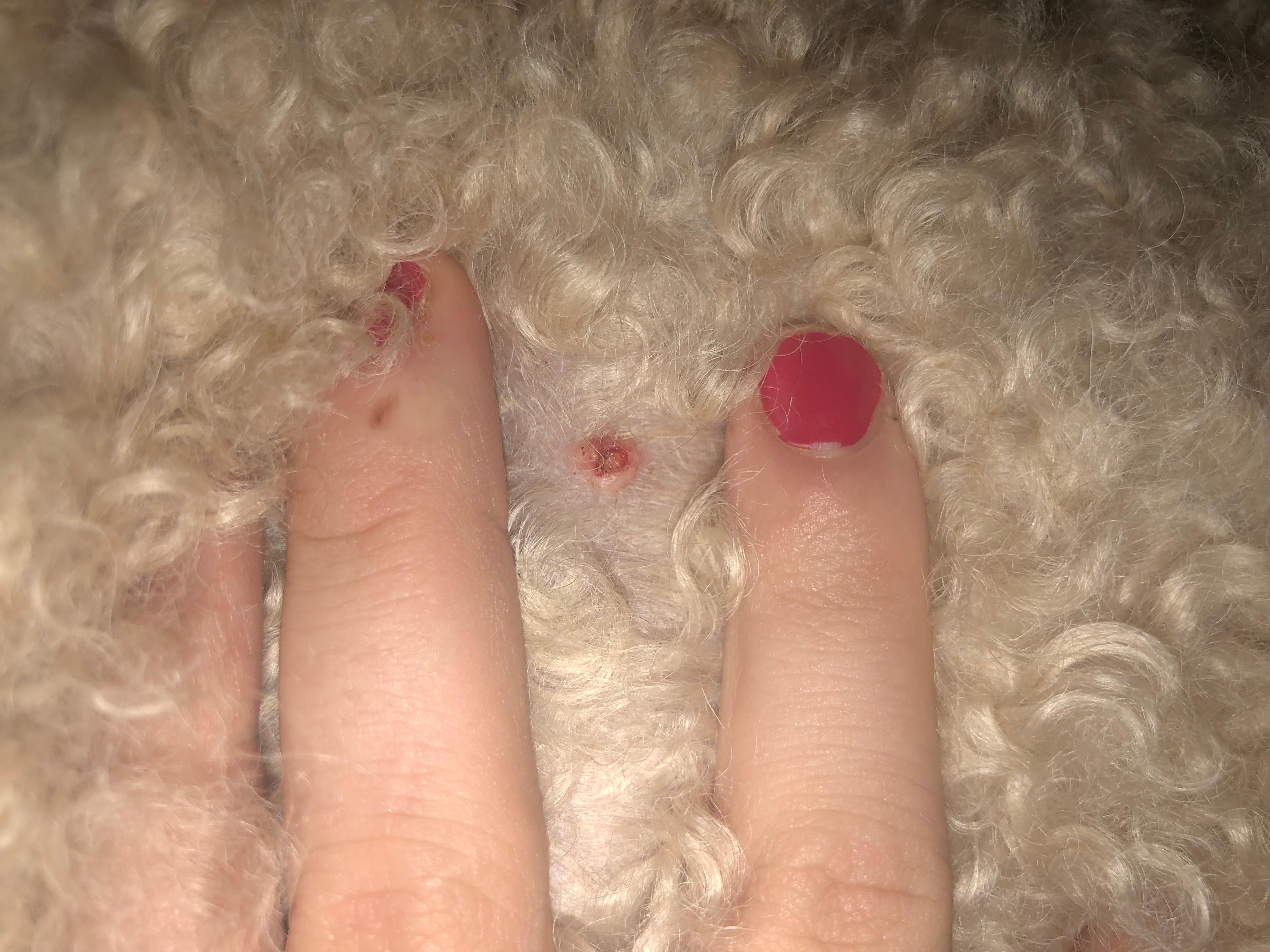 Question details sensitive content