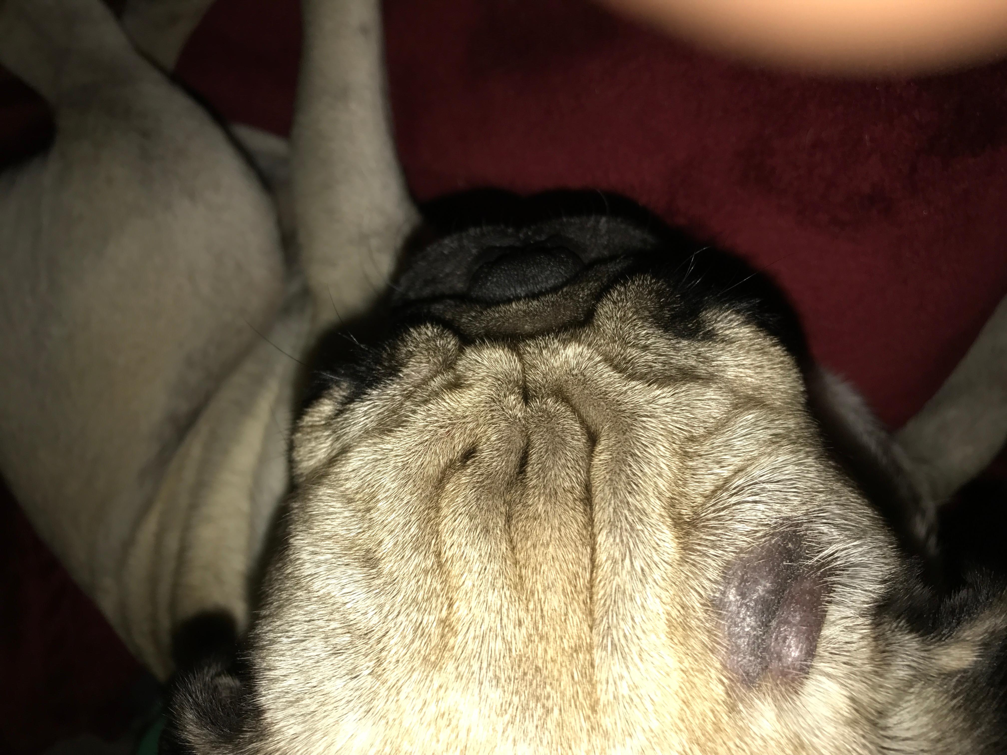 Question details sensitive content