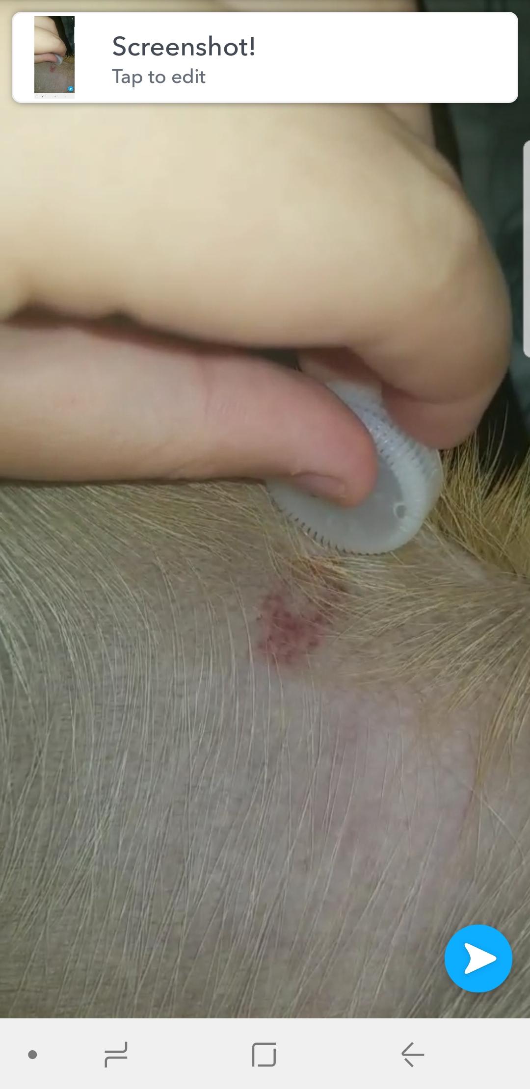 Question details sensitive content