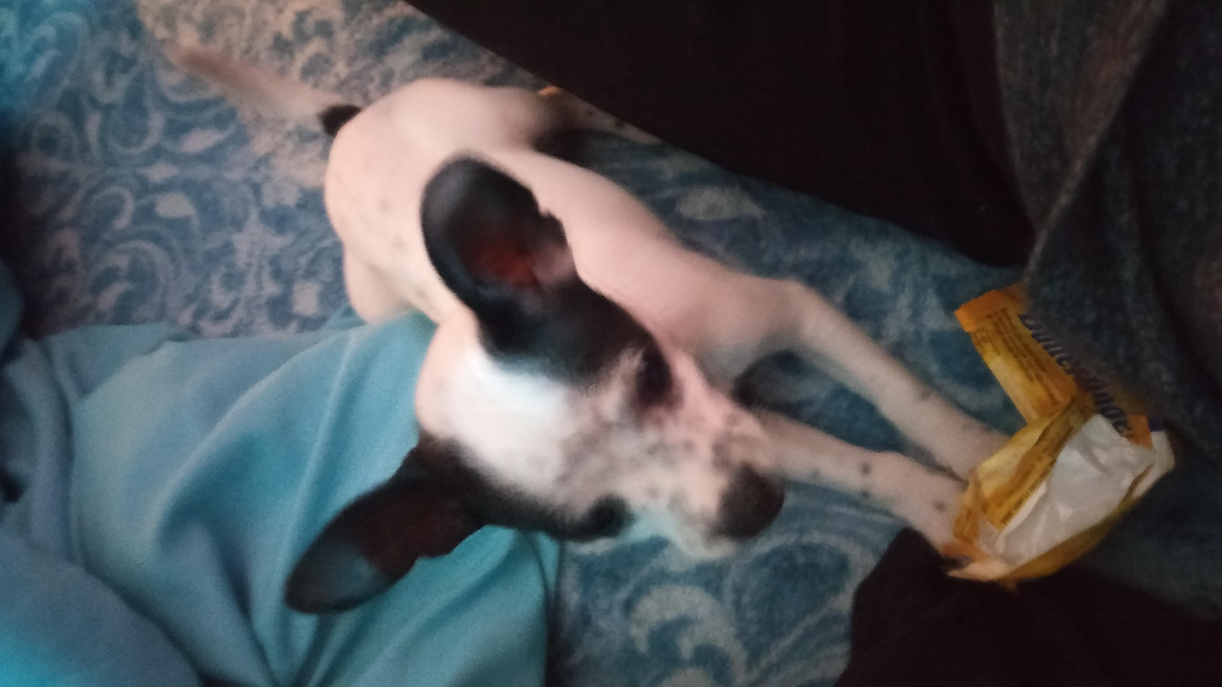 Question details sensitive content