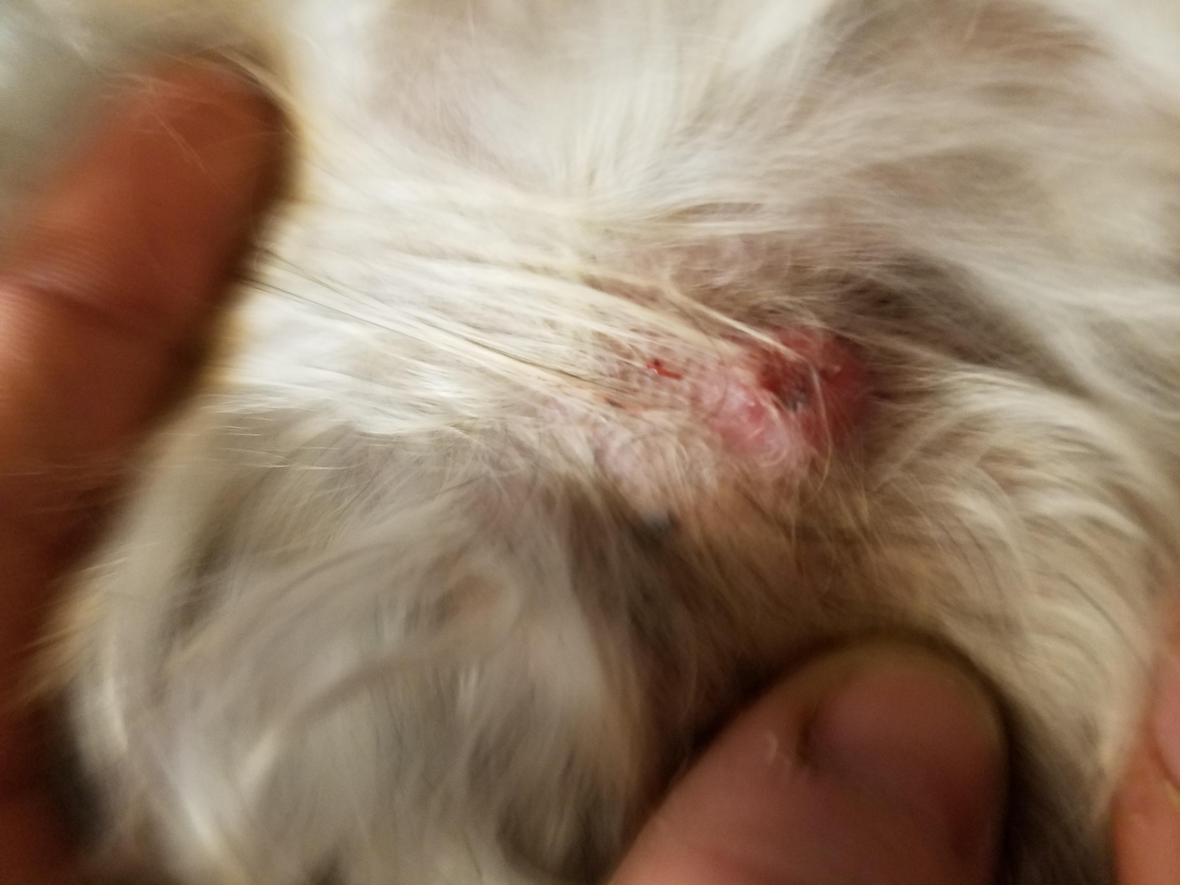 Question details sensitive content