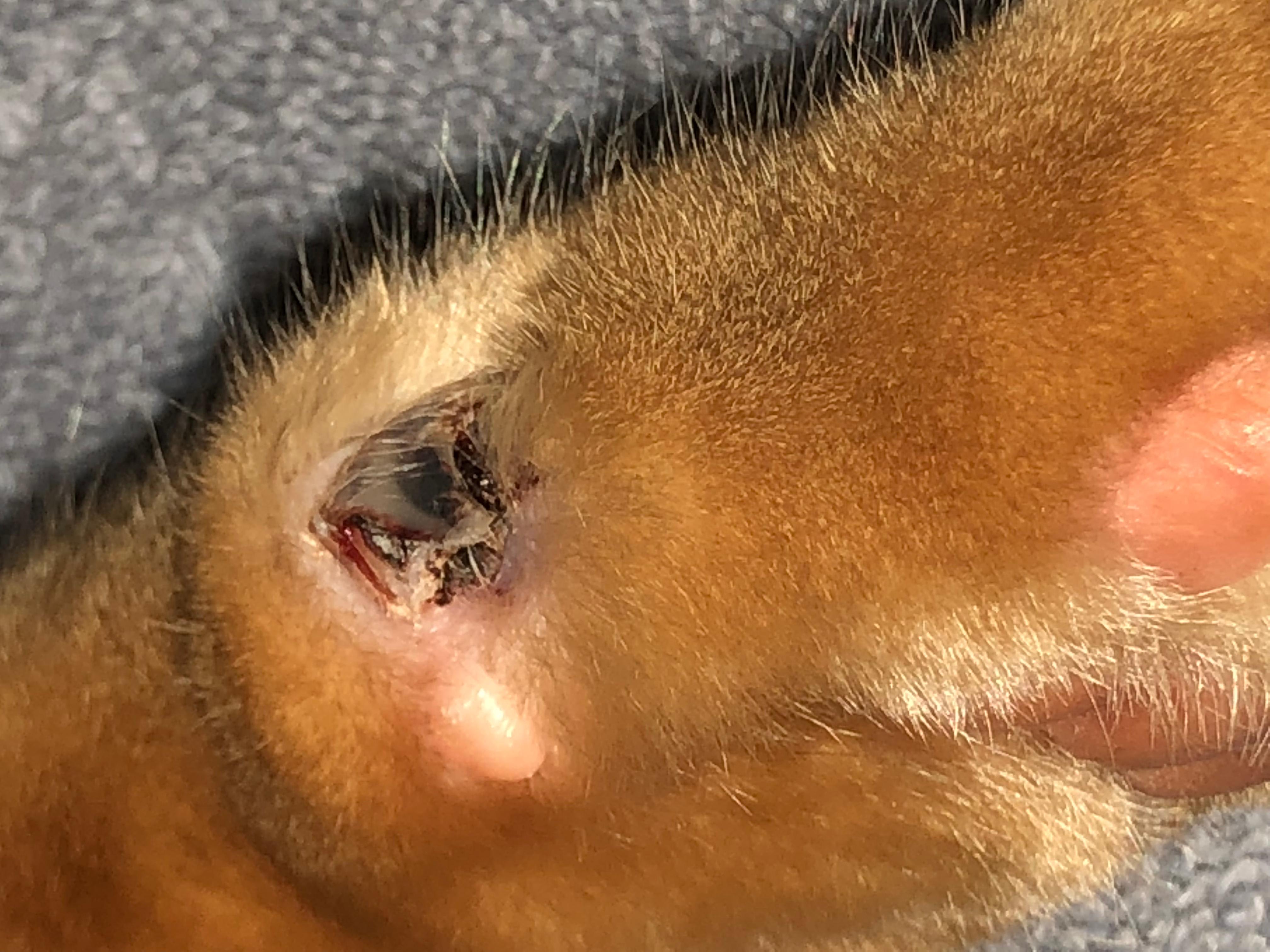 Question details sensitive content