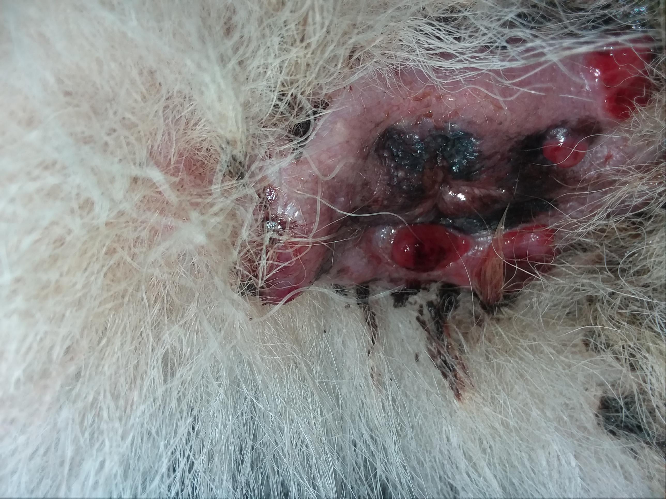 Question details sensitive content