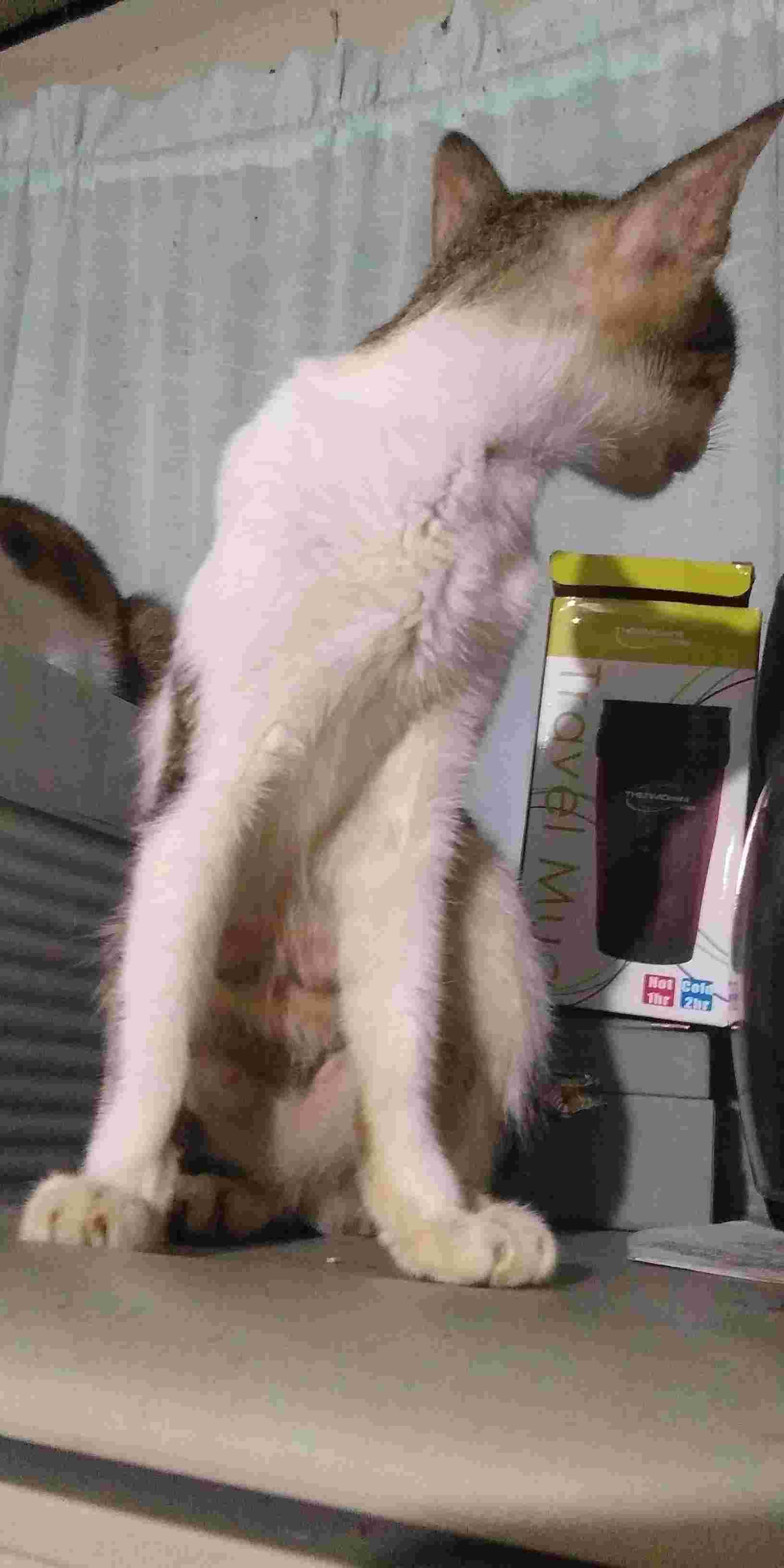 Question details sensitive content