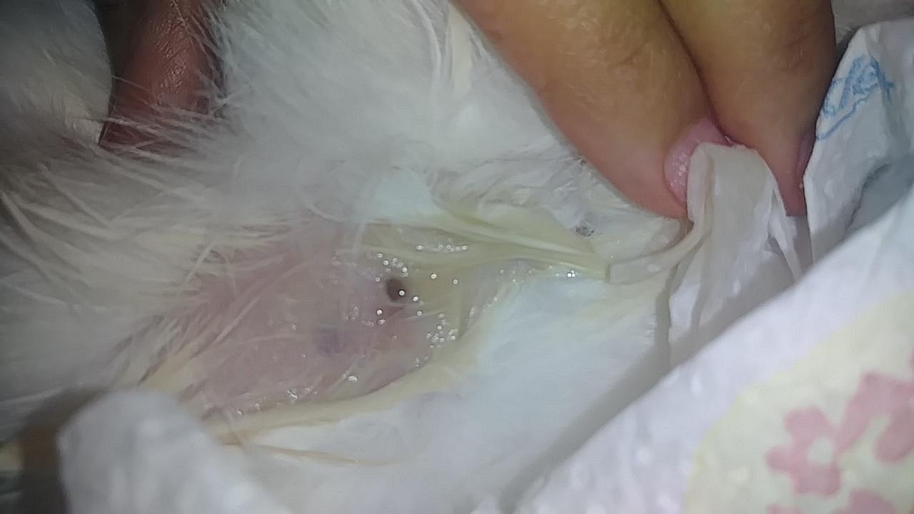 Question details sensitive content