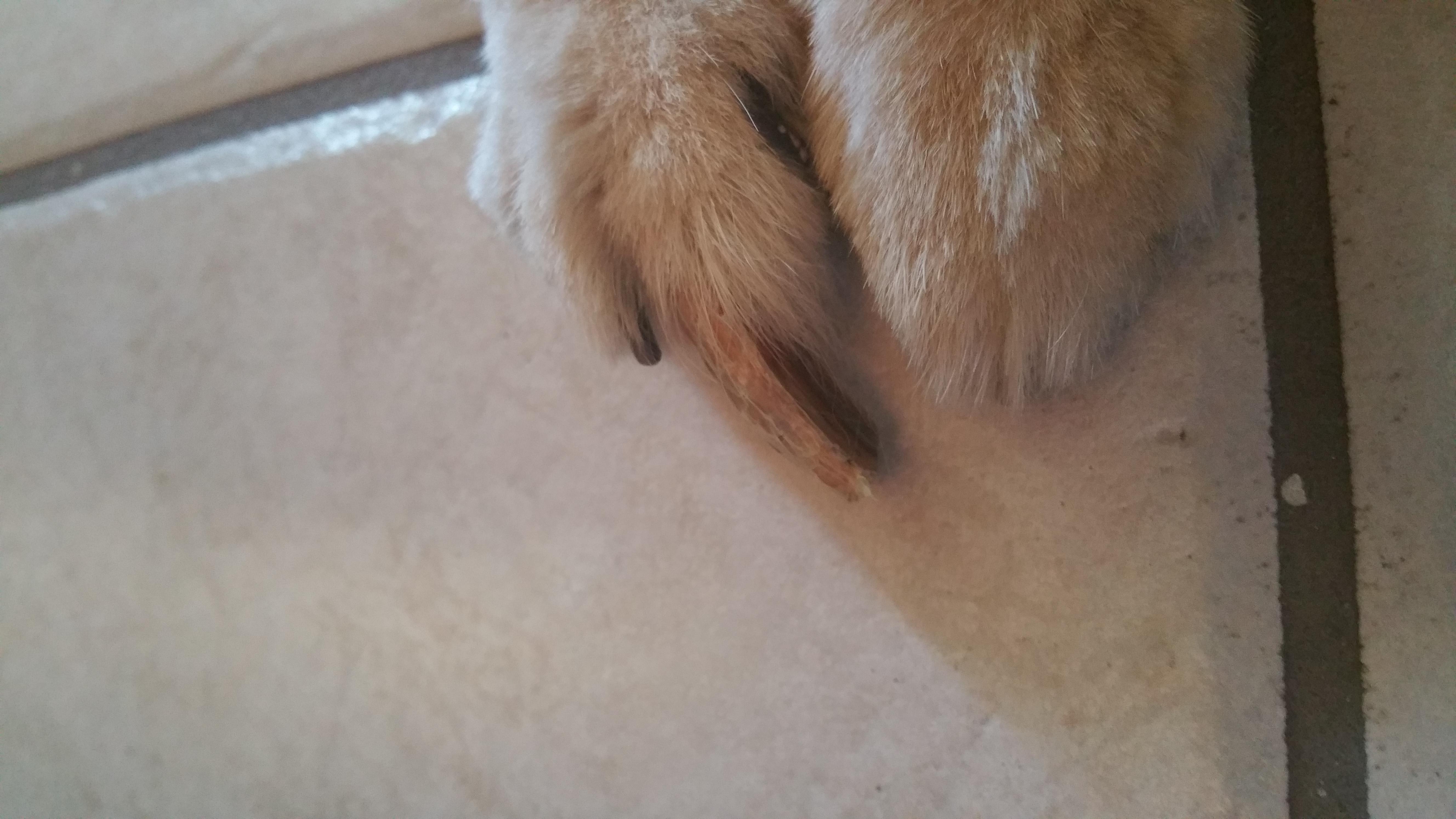 Question details sensitive content