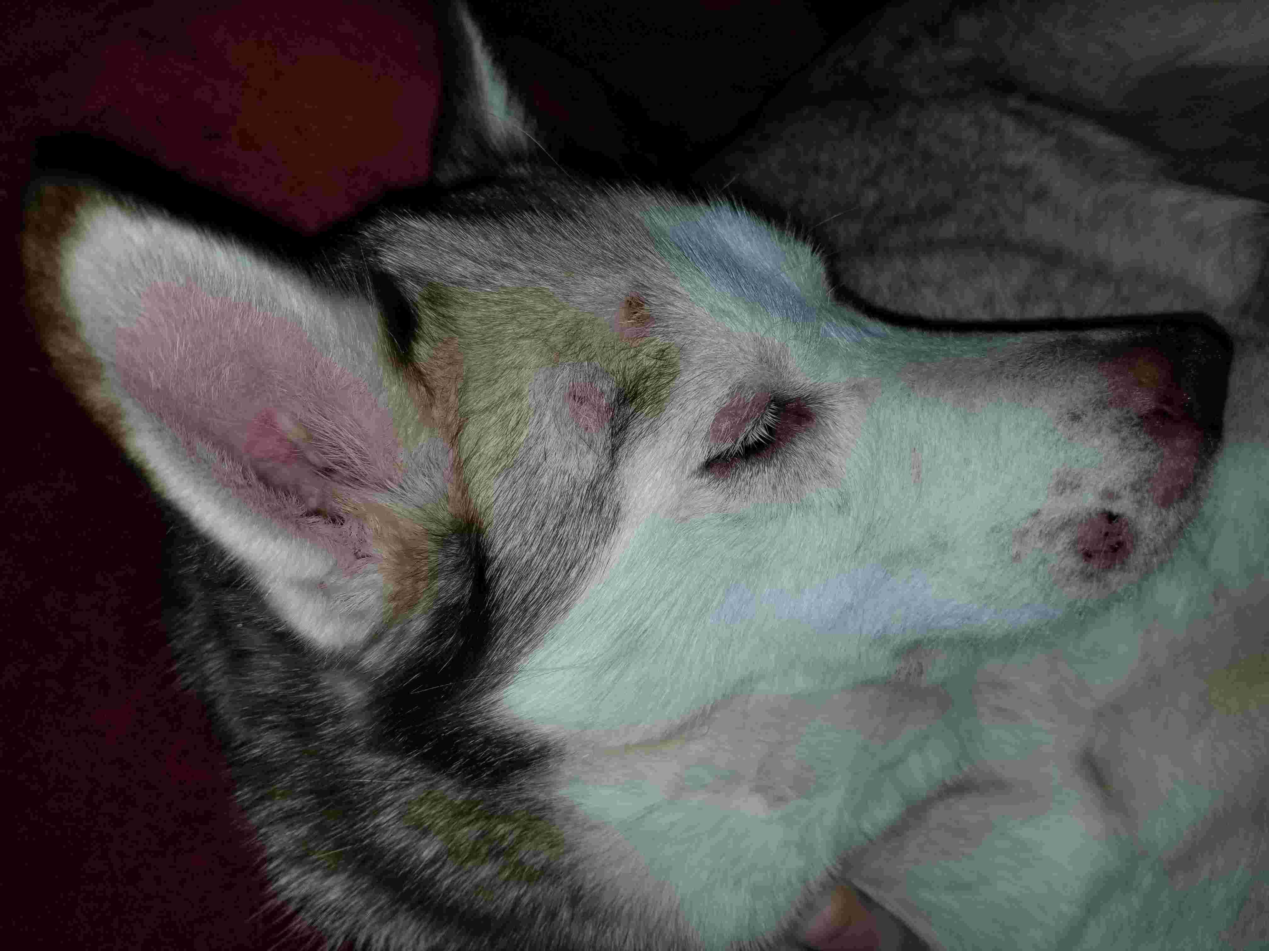 Question details sensitive content