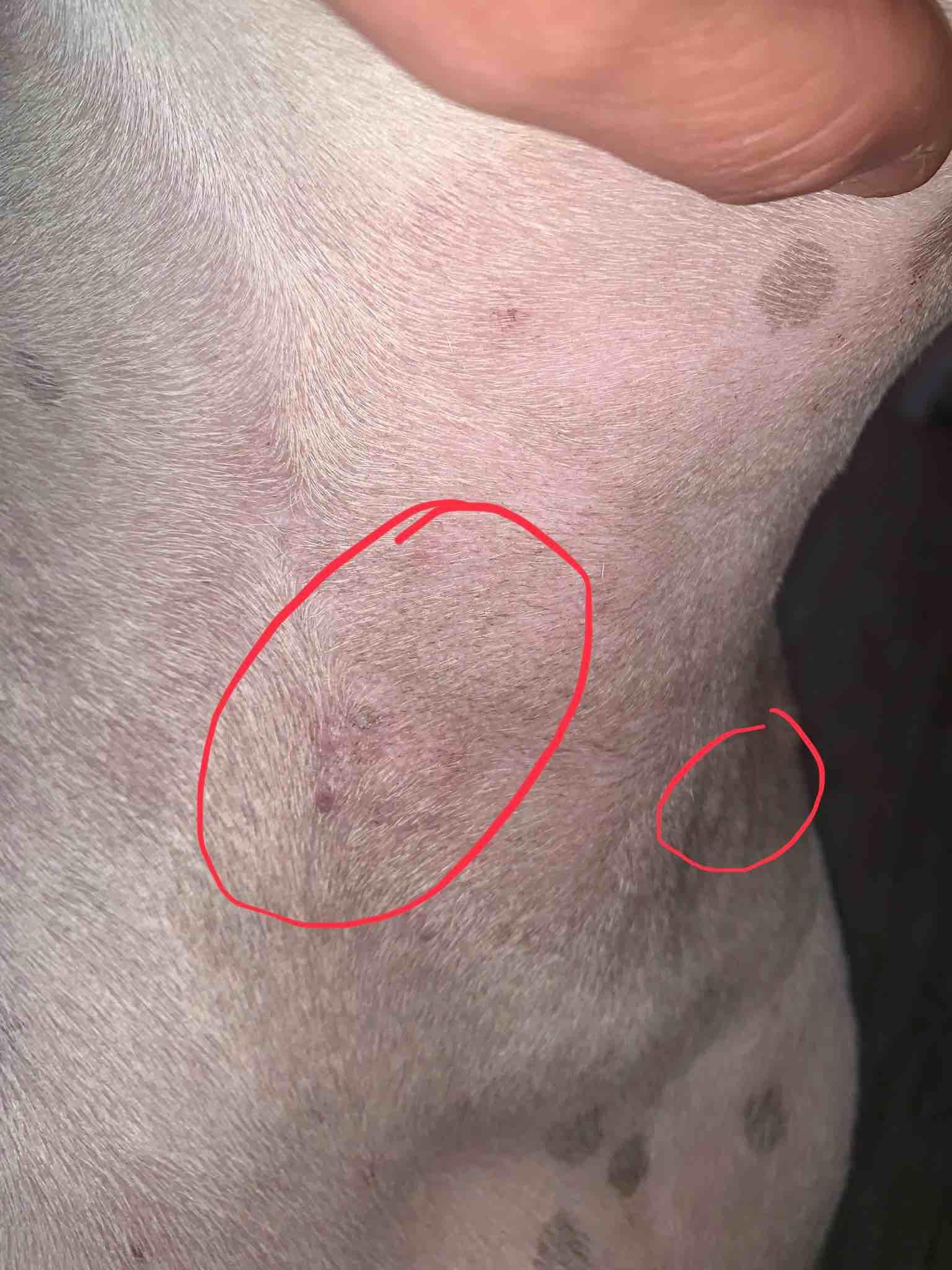 Question details sensitive content