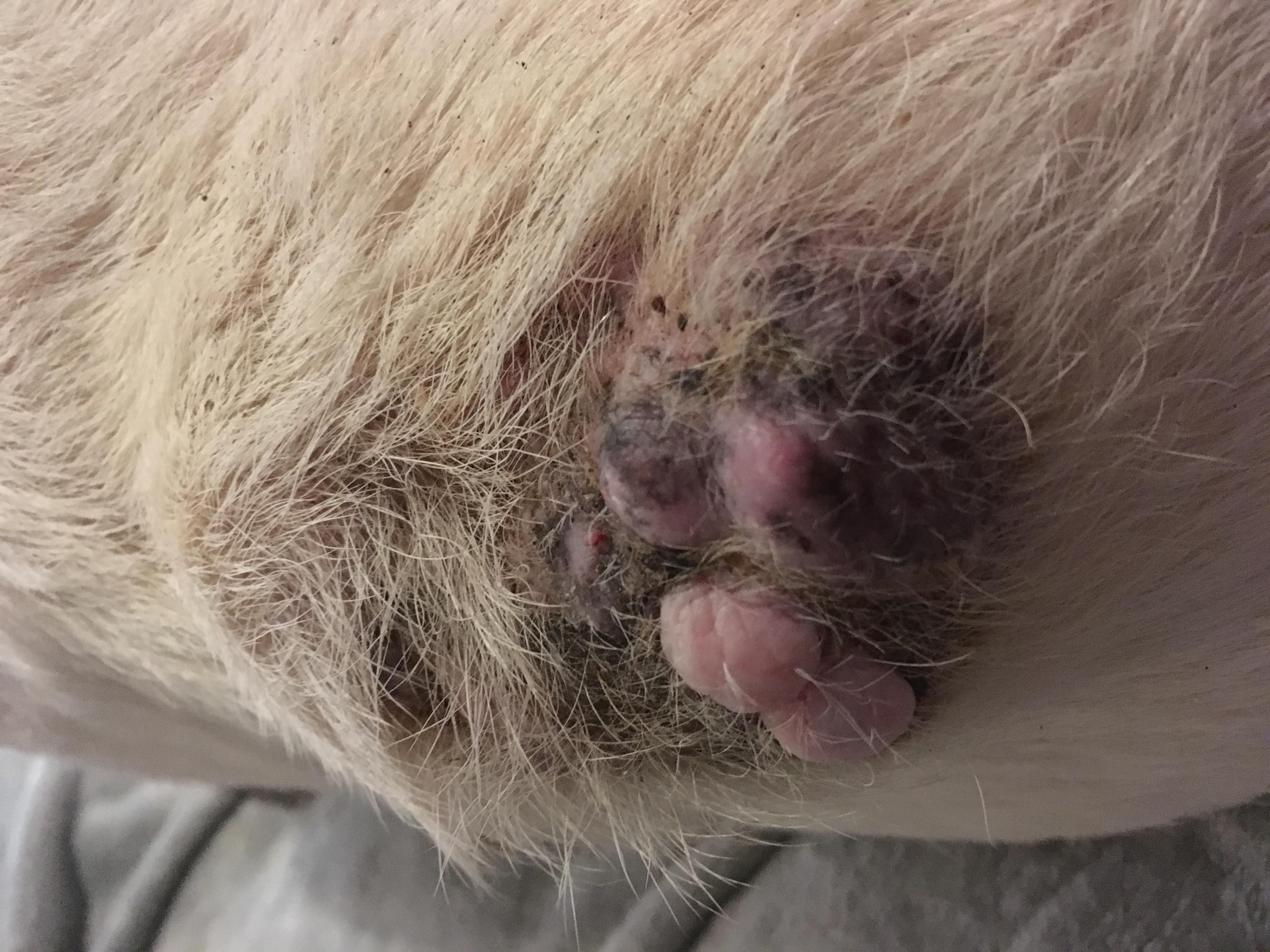 Question details sensitive content