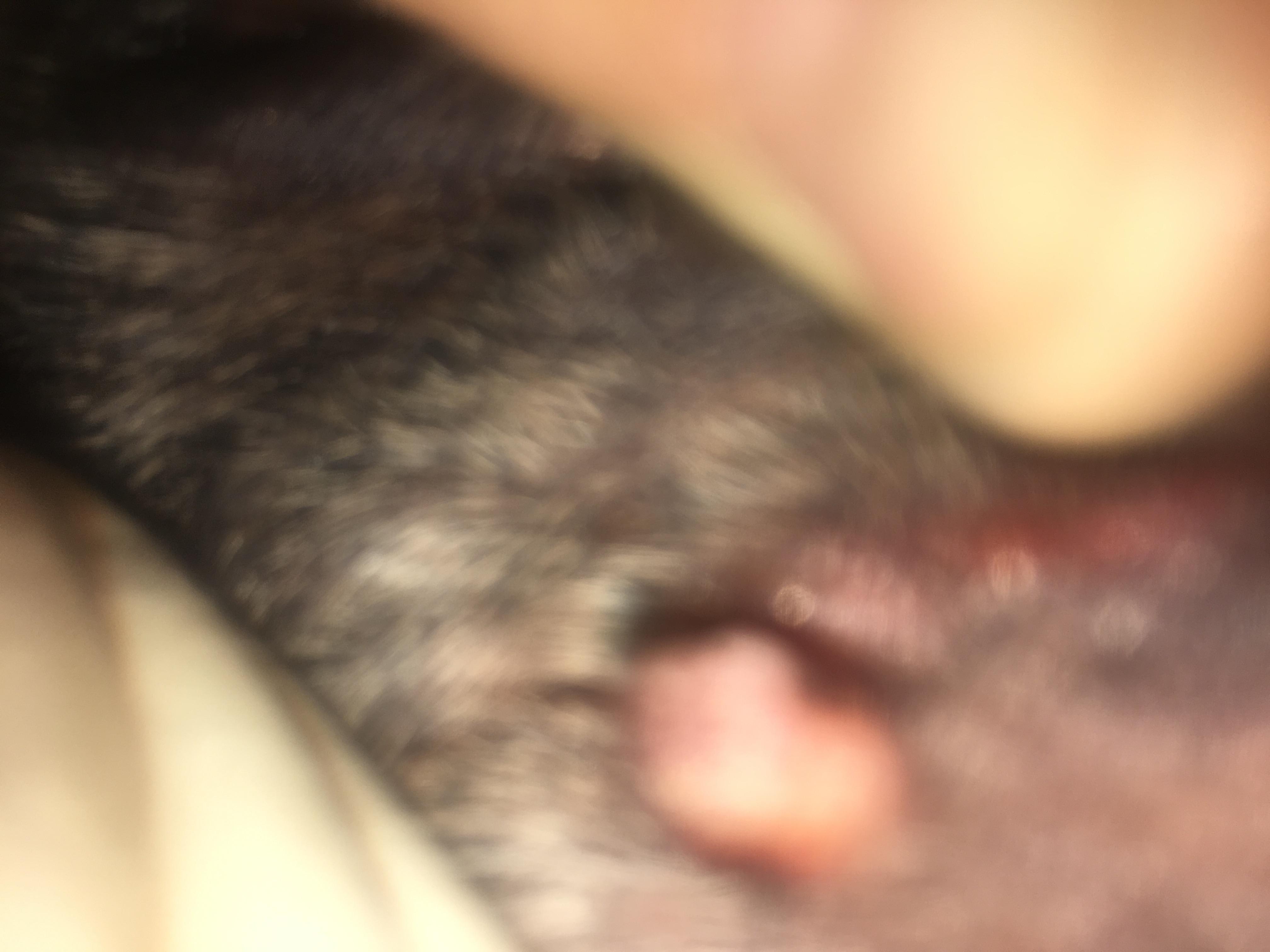 Question details sensitive content