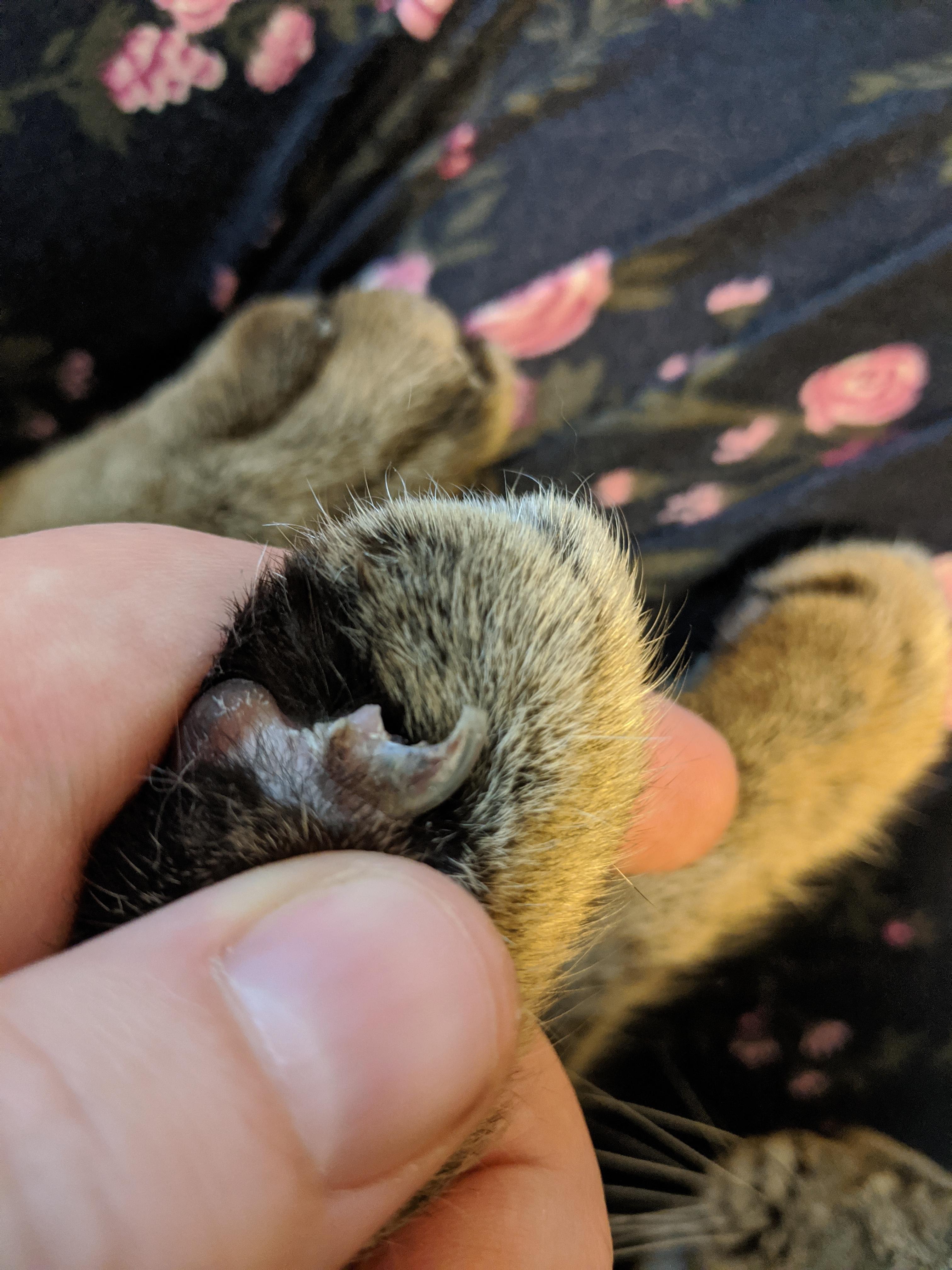 Question details sensitive content