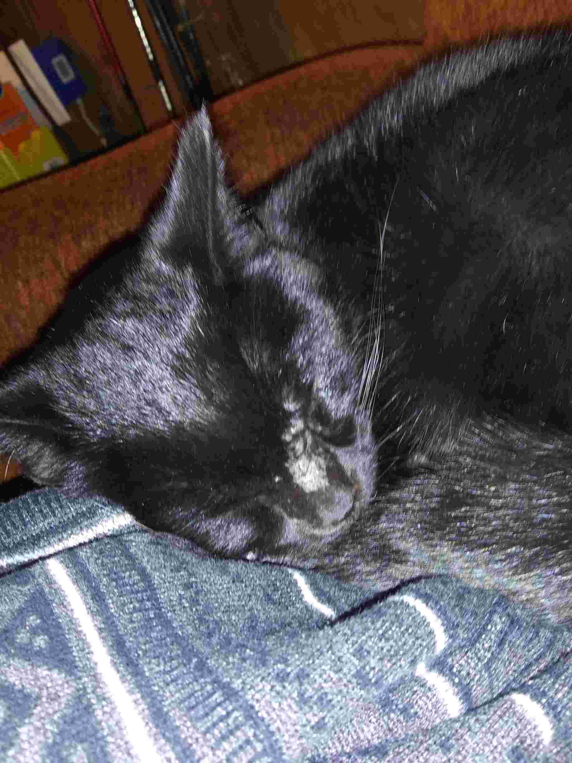 Question details sensitive content