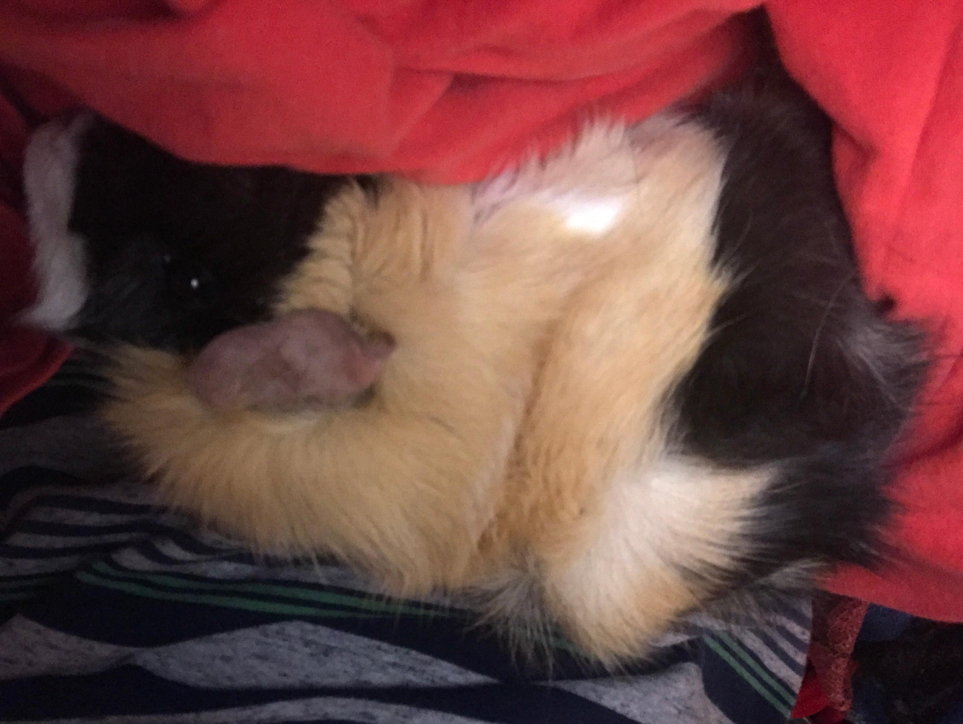 Question details sensitive content