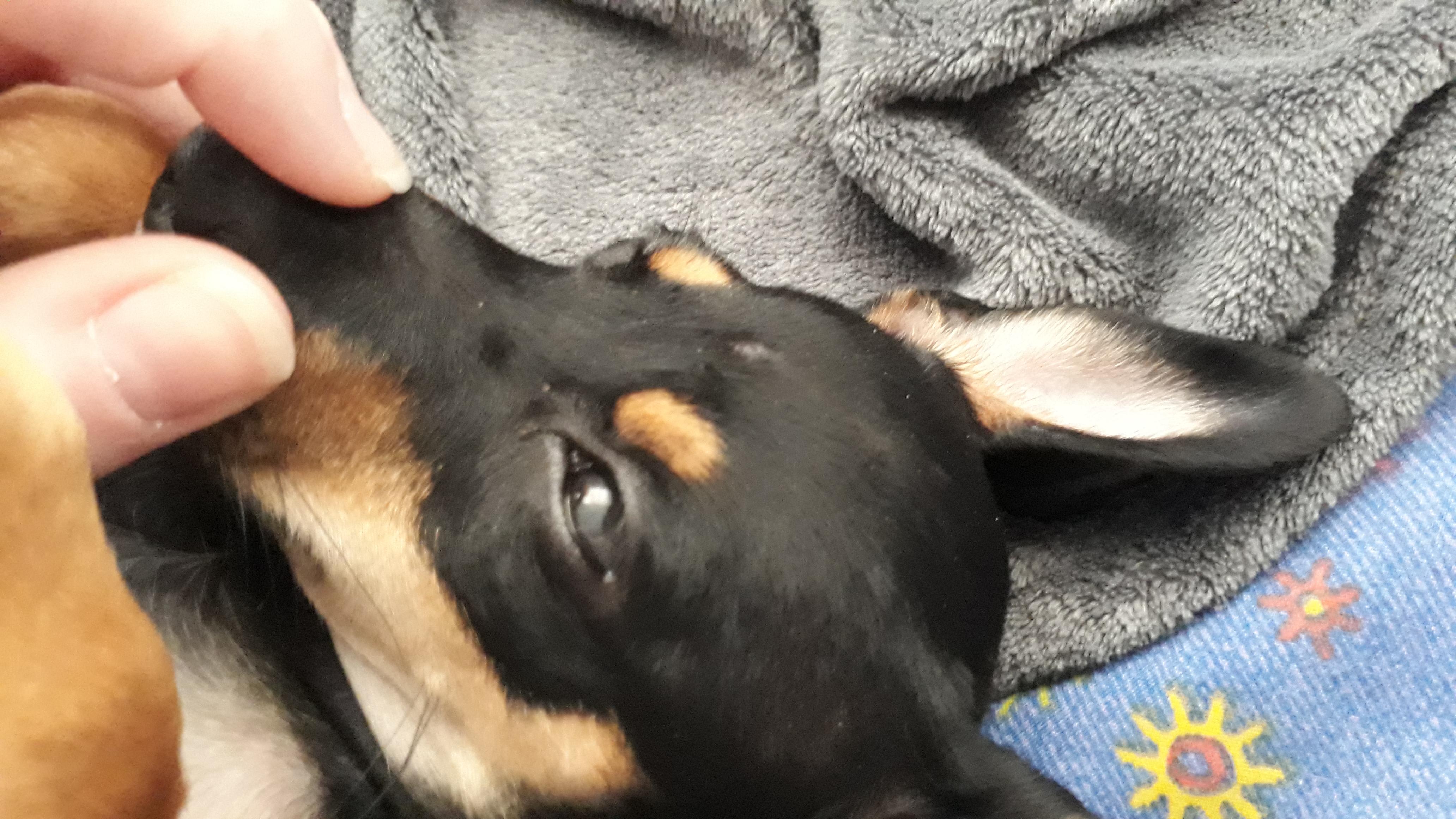 Question details sensitive content