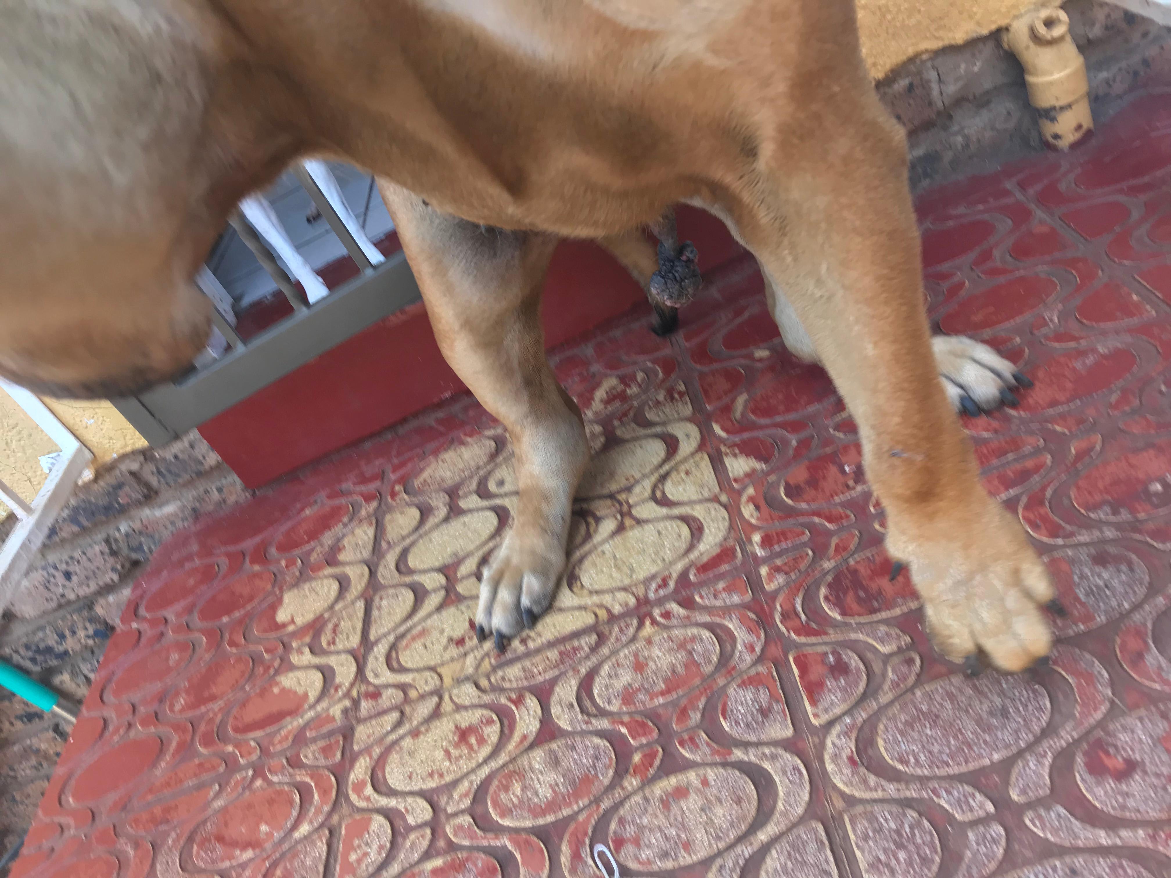 Question details sensitive content