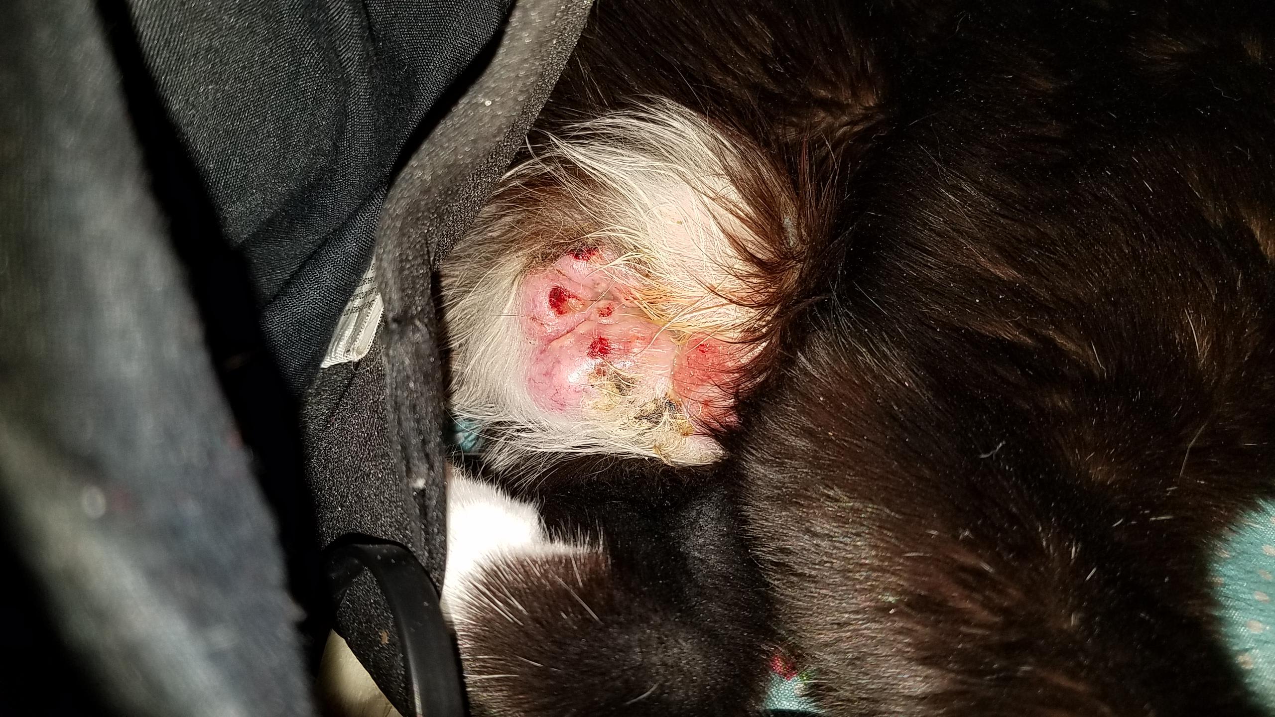 Question details sensitive content