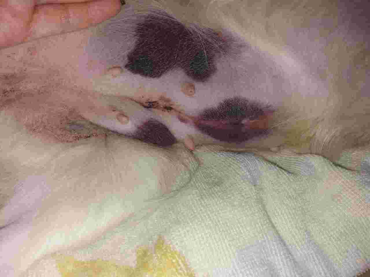 Question details sensitive content