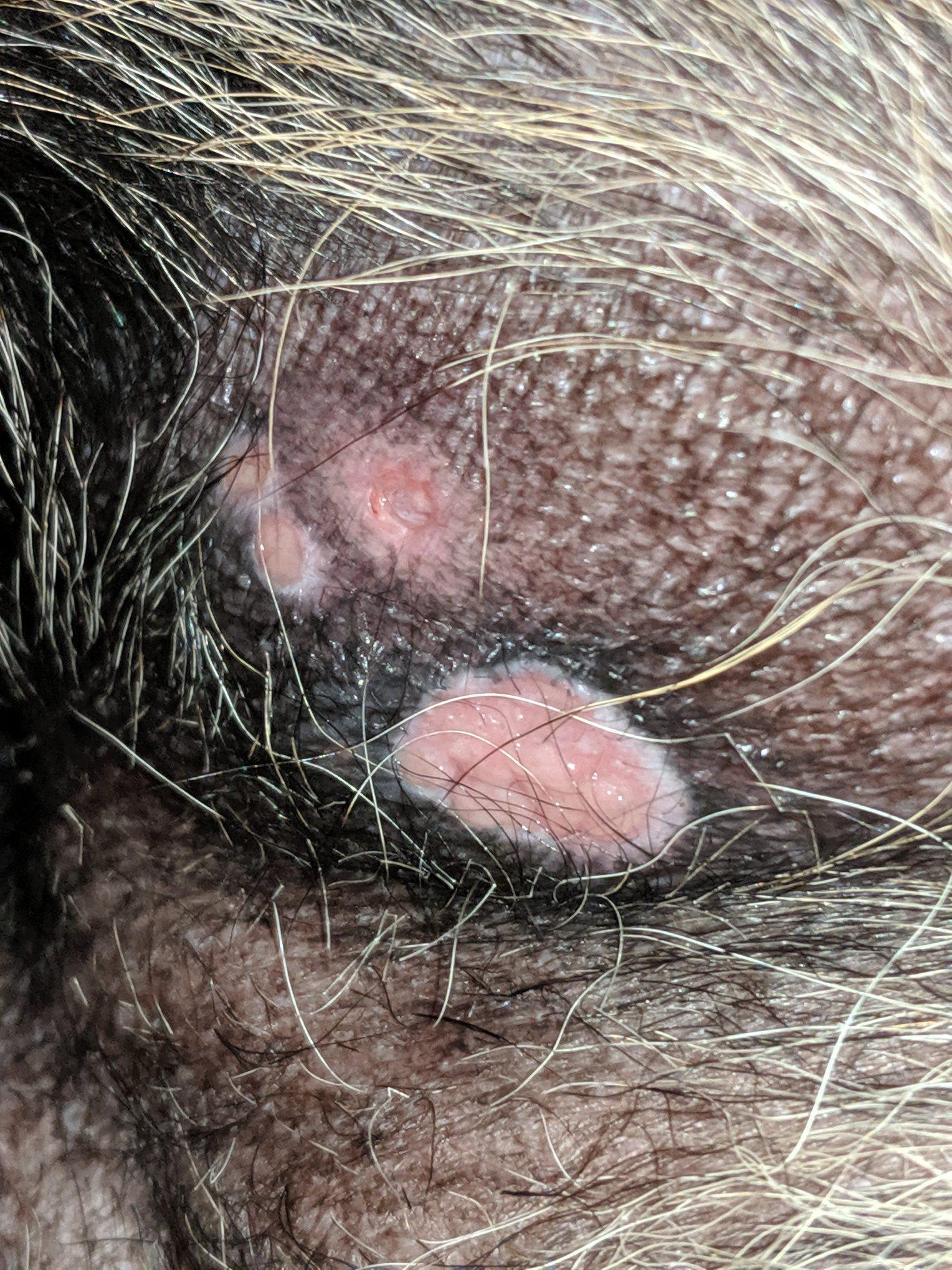 Question details sensitive content