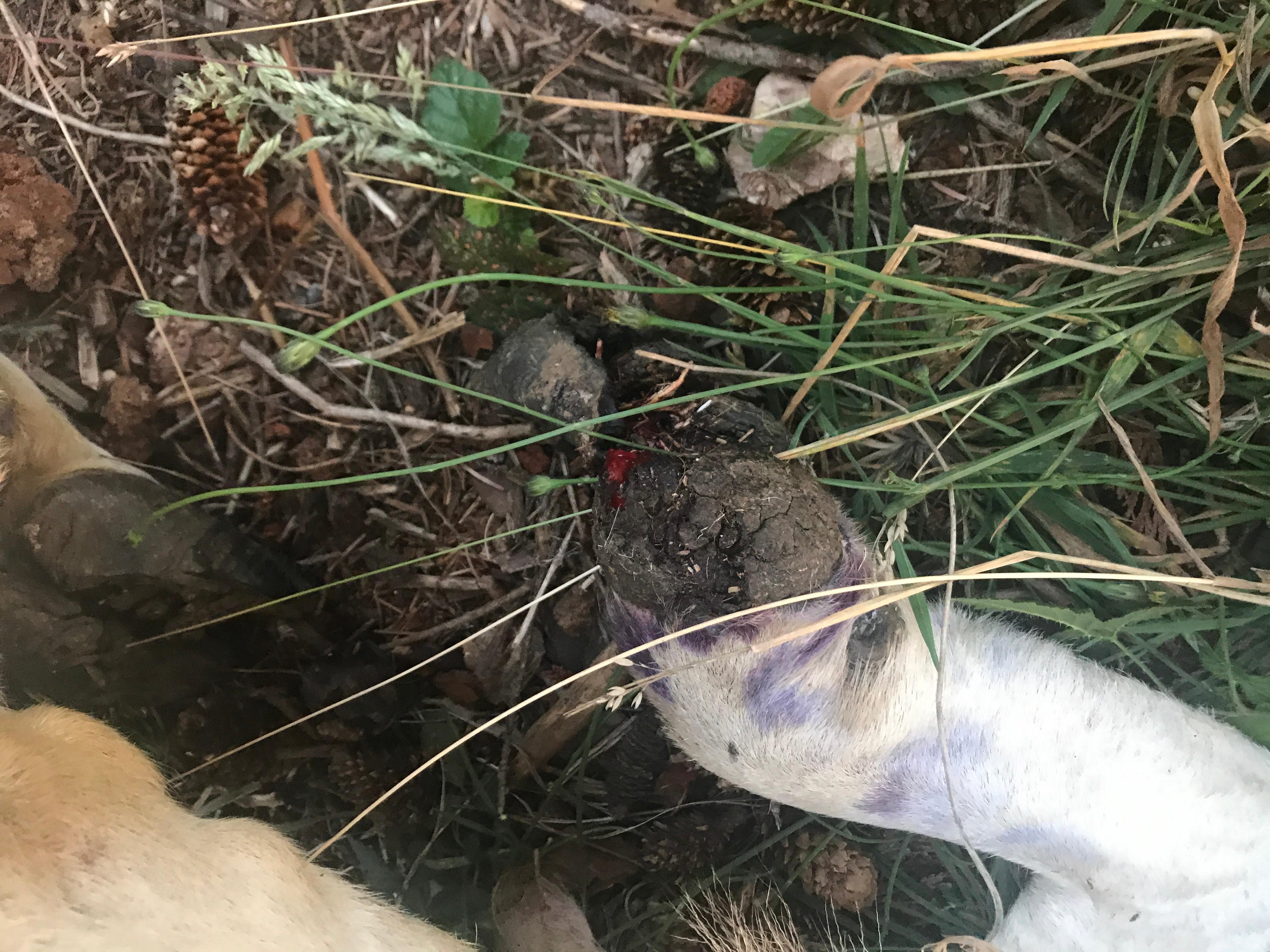 Question details sensitive content