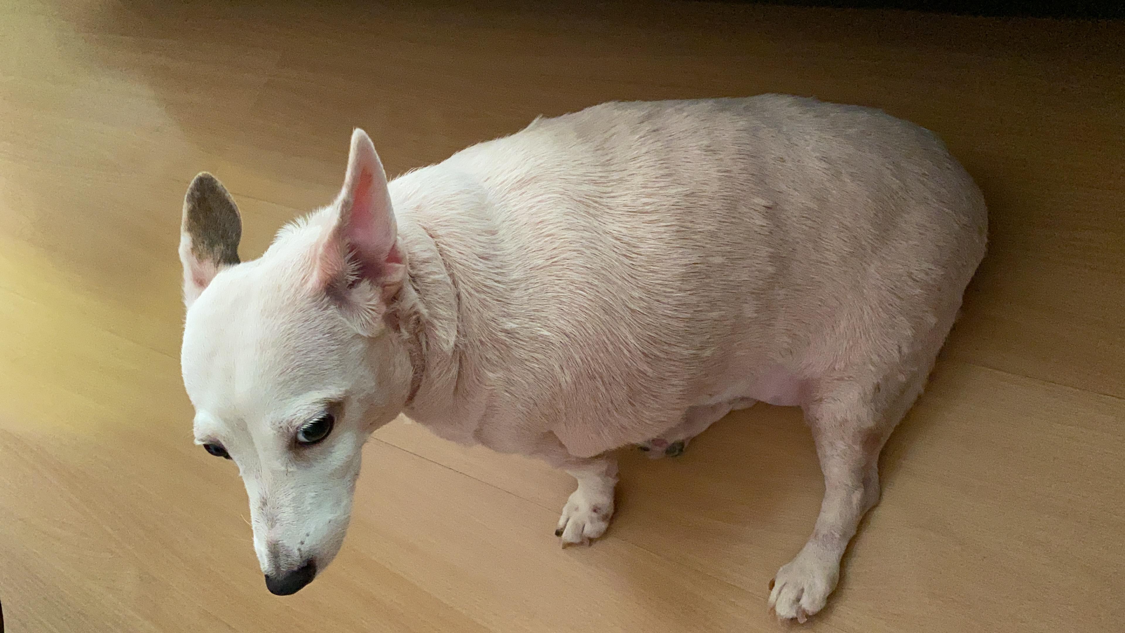 Question details sensitive content