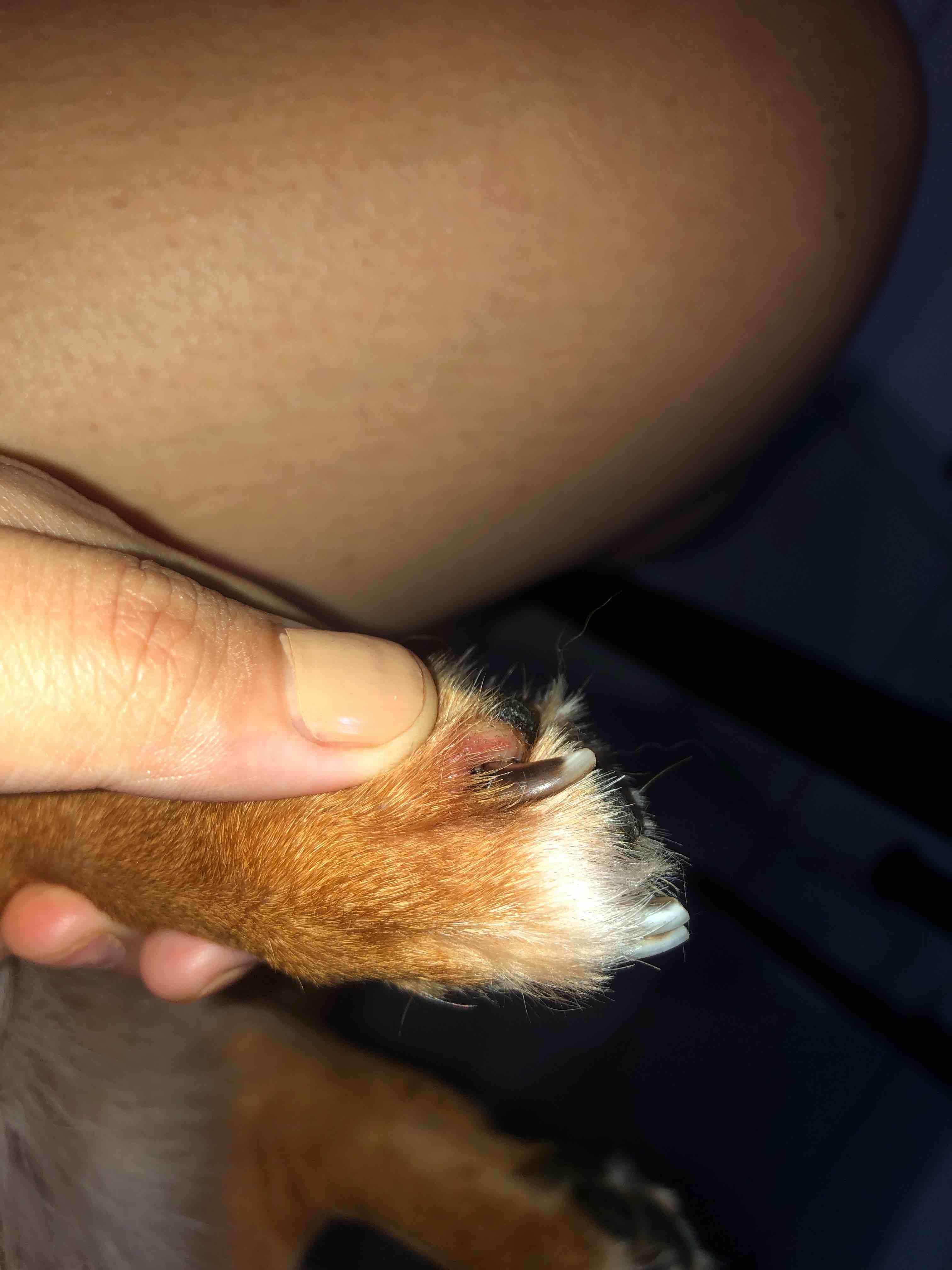 Question details sensitive content