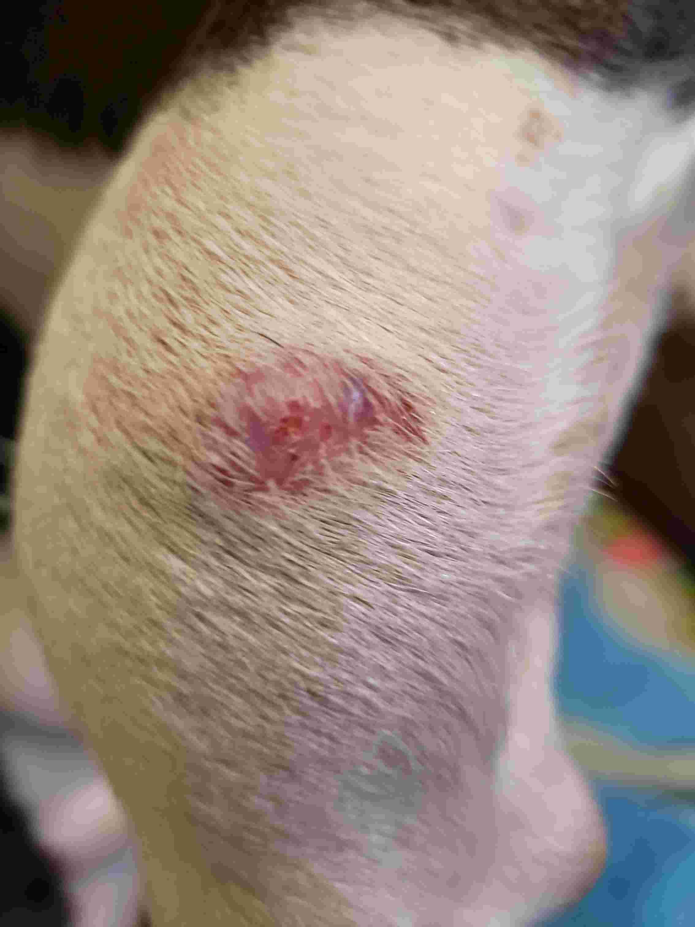 Question details sensitive content