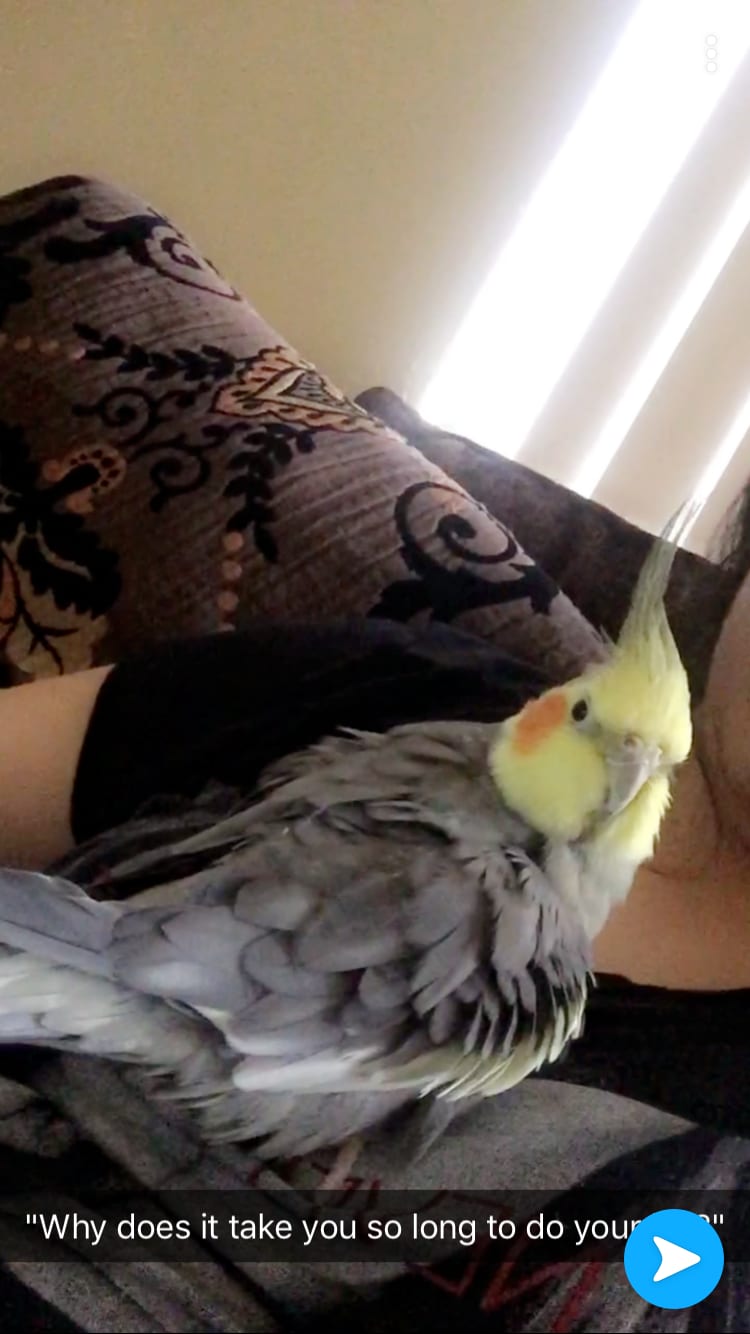 Question details sensitive content