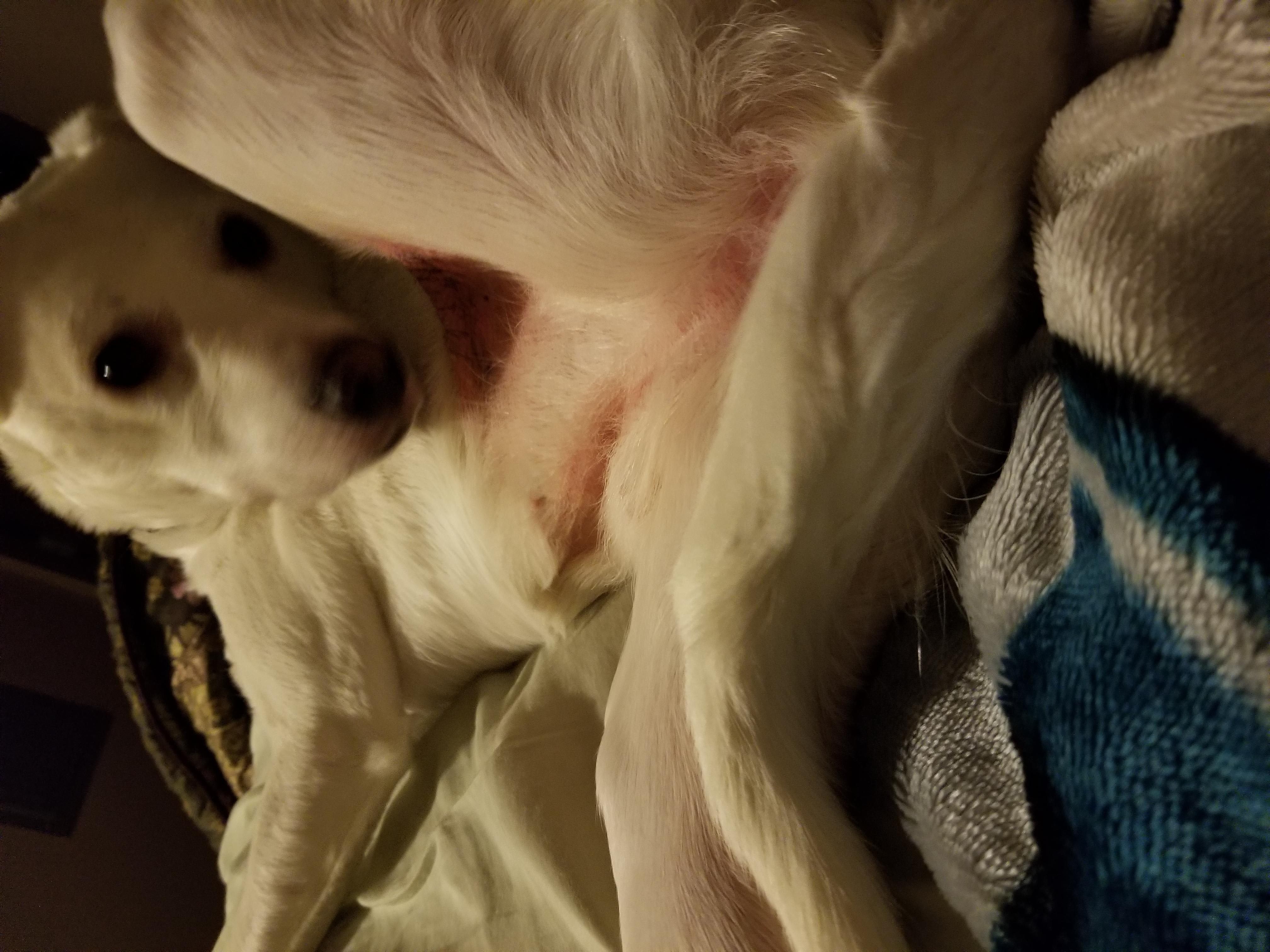 Question details sensitive content