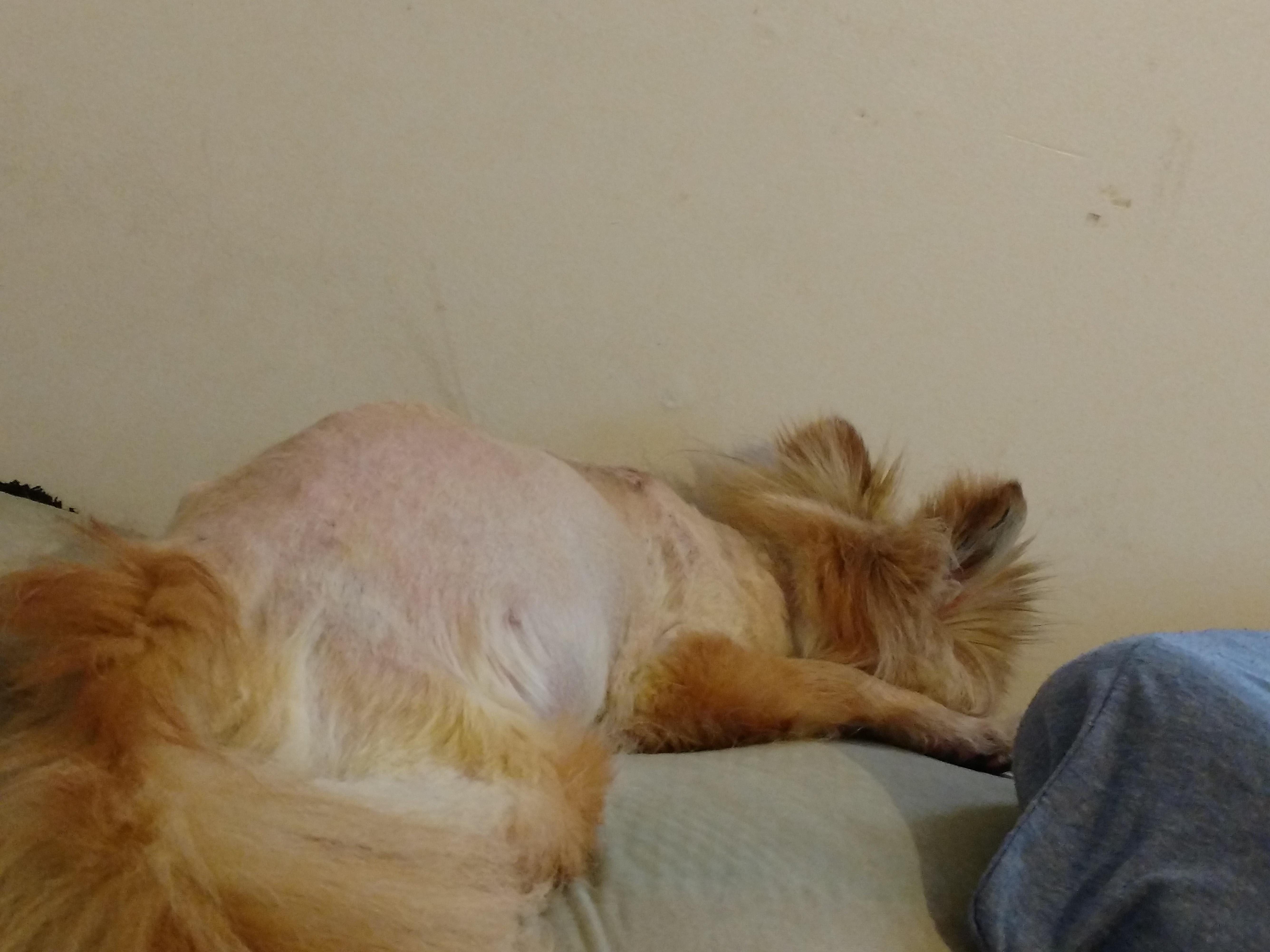 Question details sensitive content