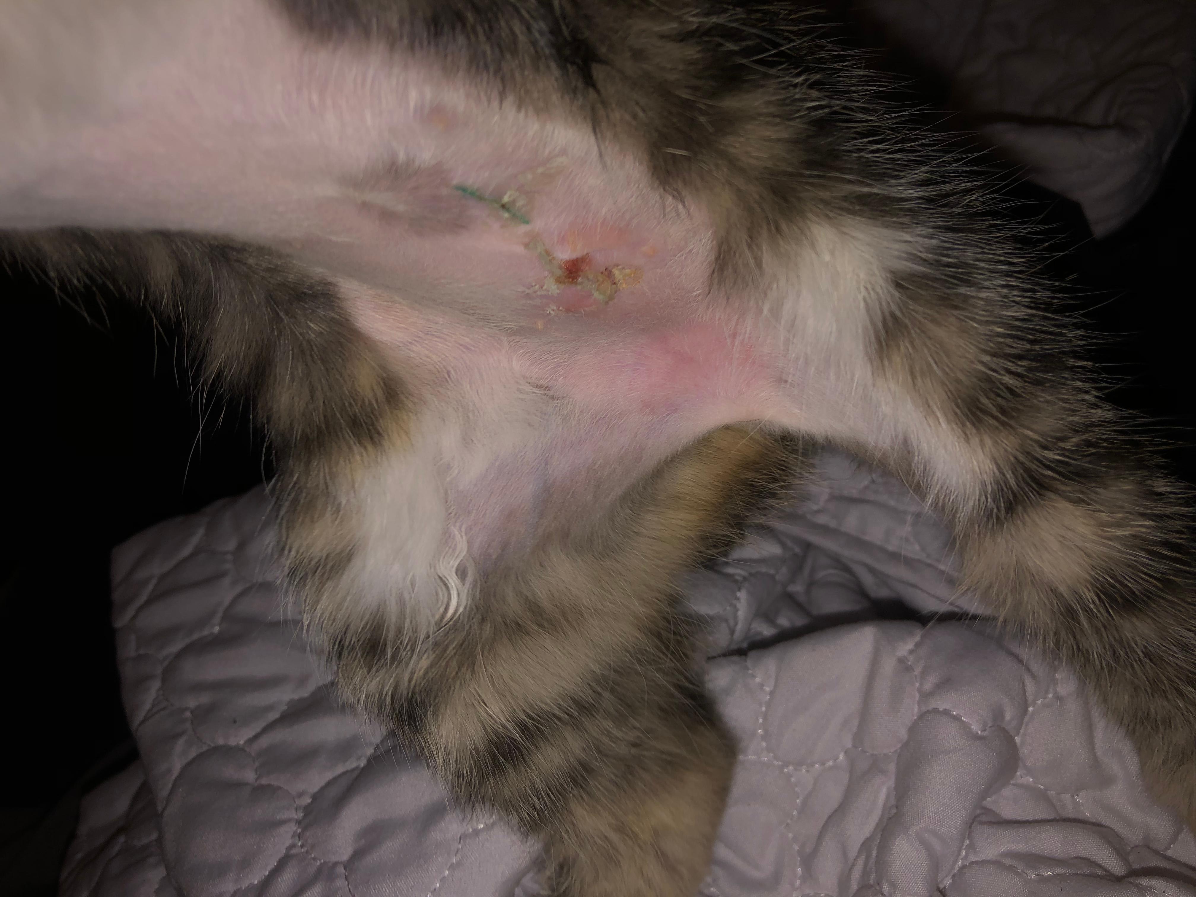 Question details sensitive content