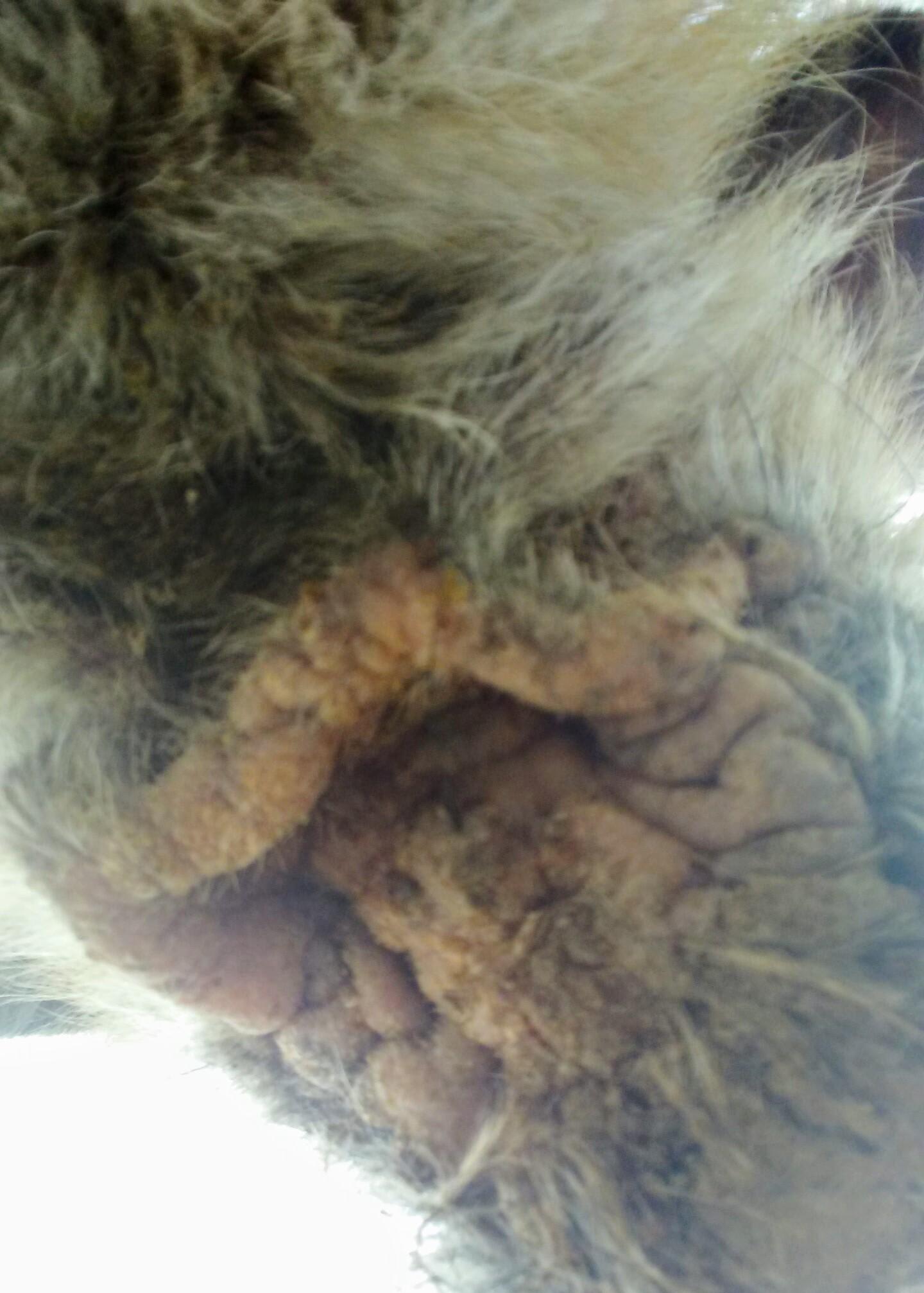 Question details sensitive content