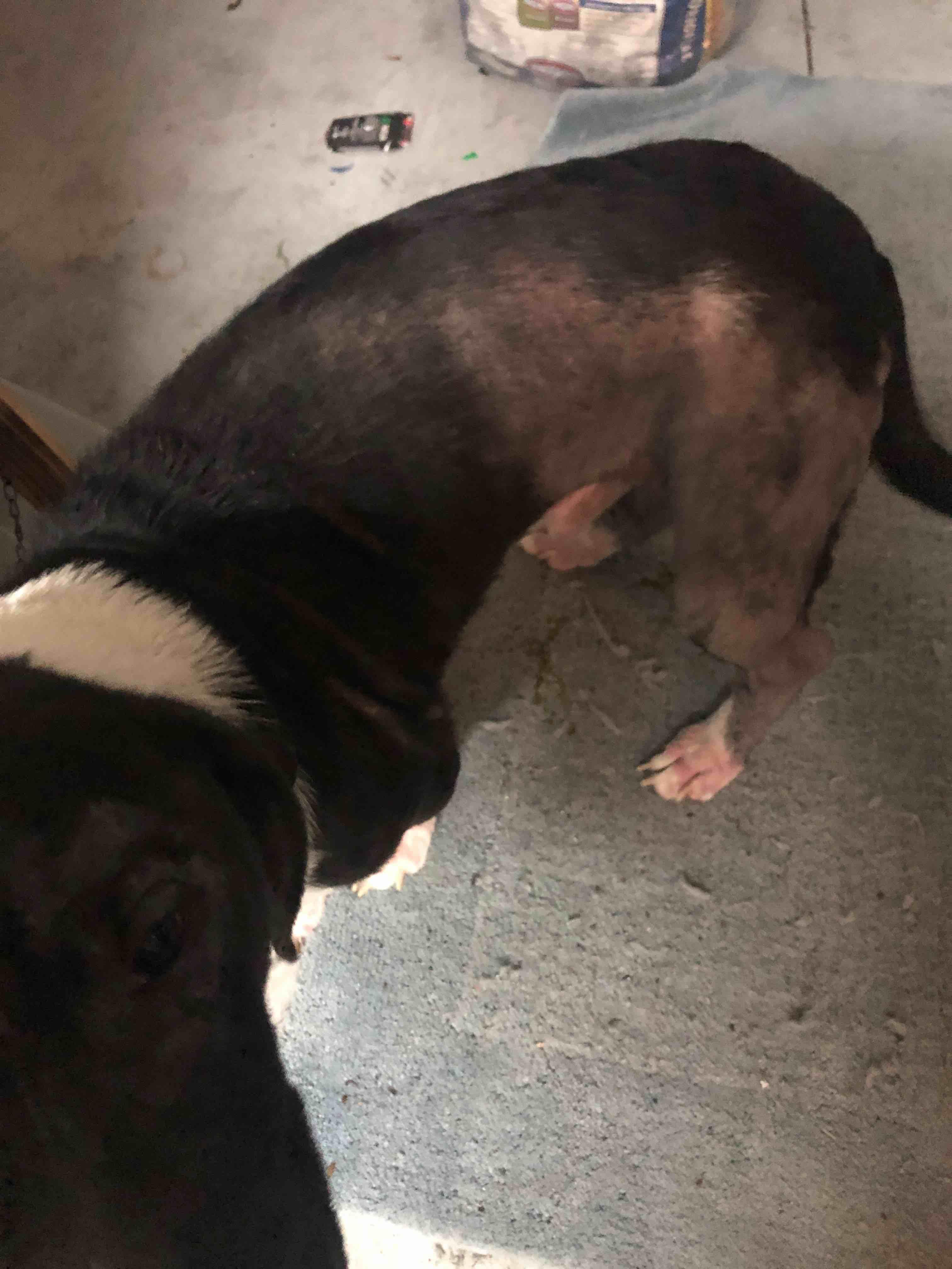 Question details sensitive content