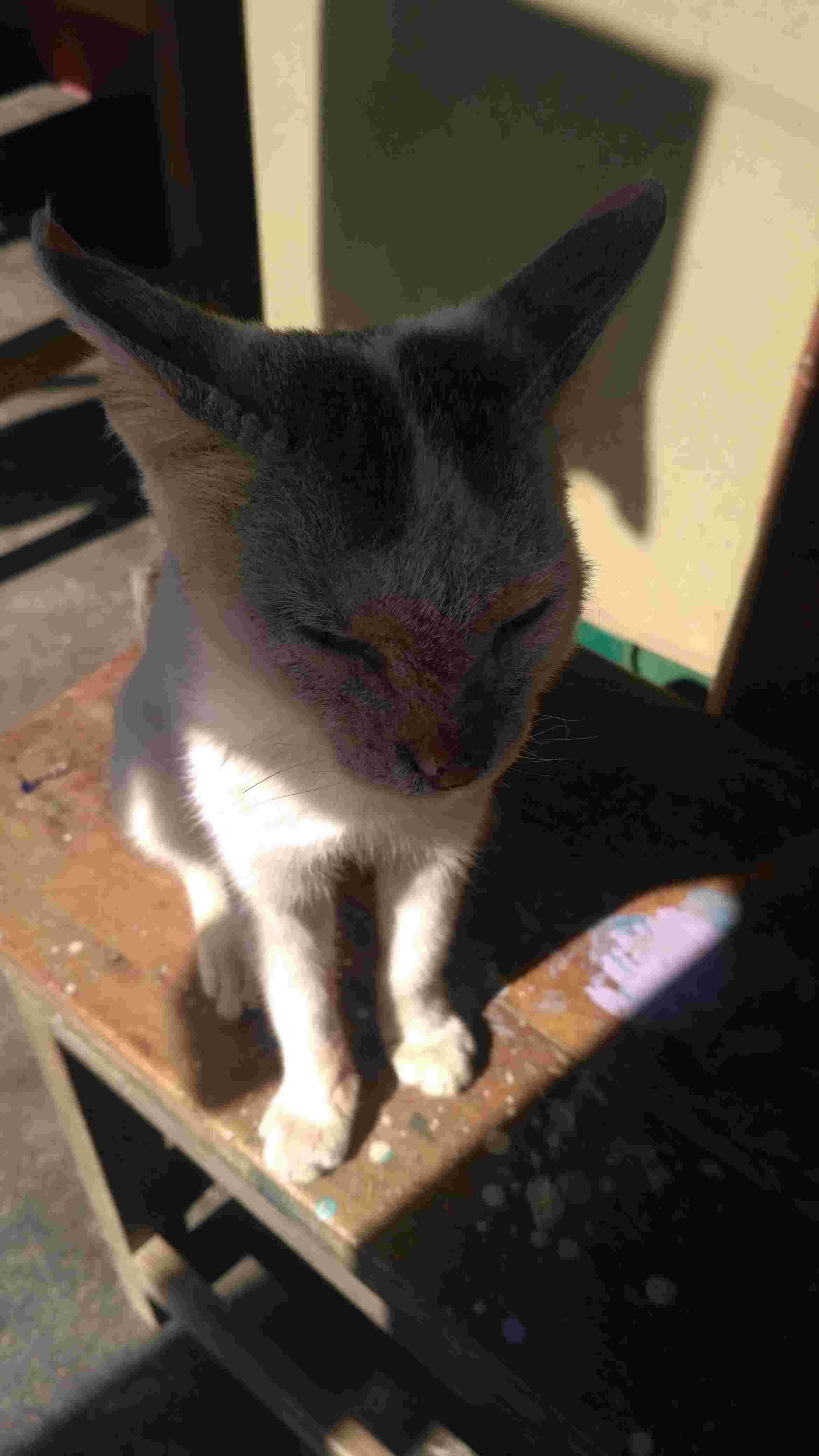 Question details sensitive content