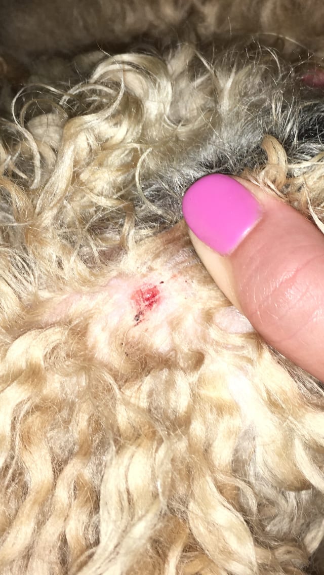 Question details sensitive content