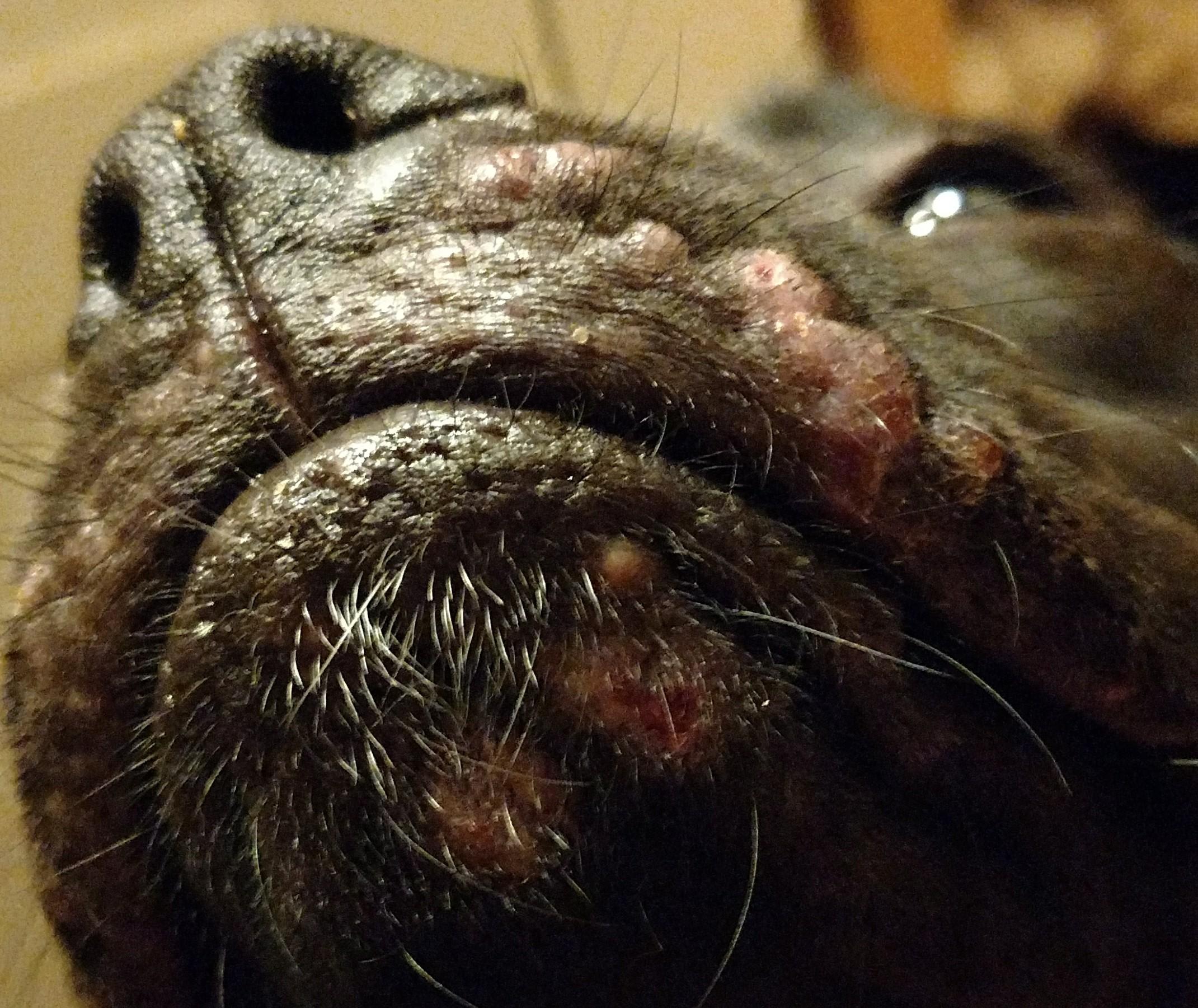 Question details sensitive content