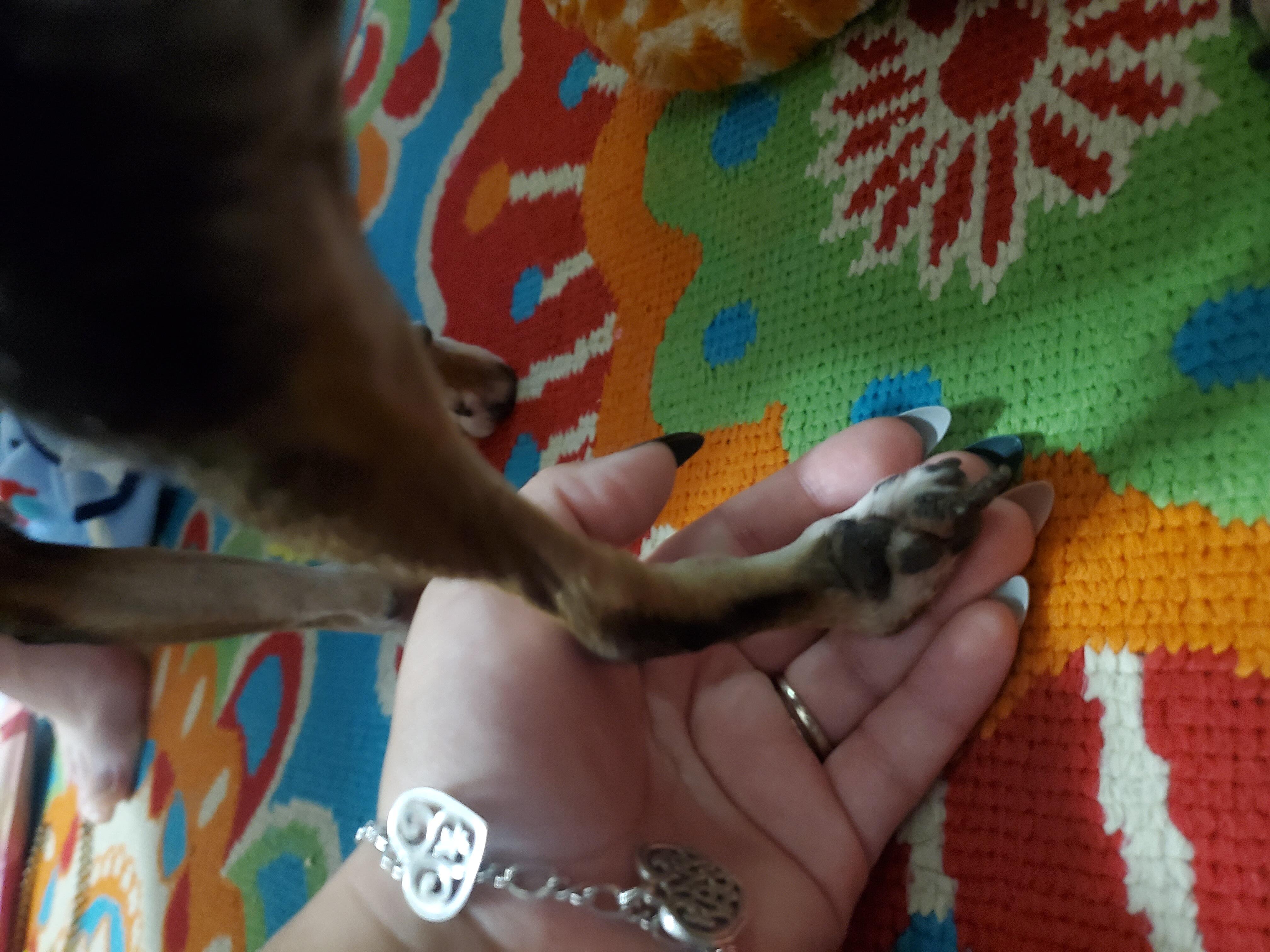 Question details sensitive content