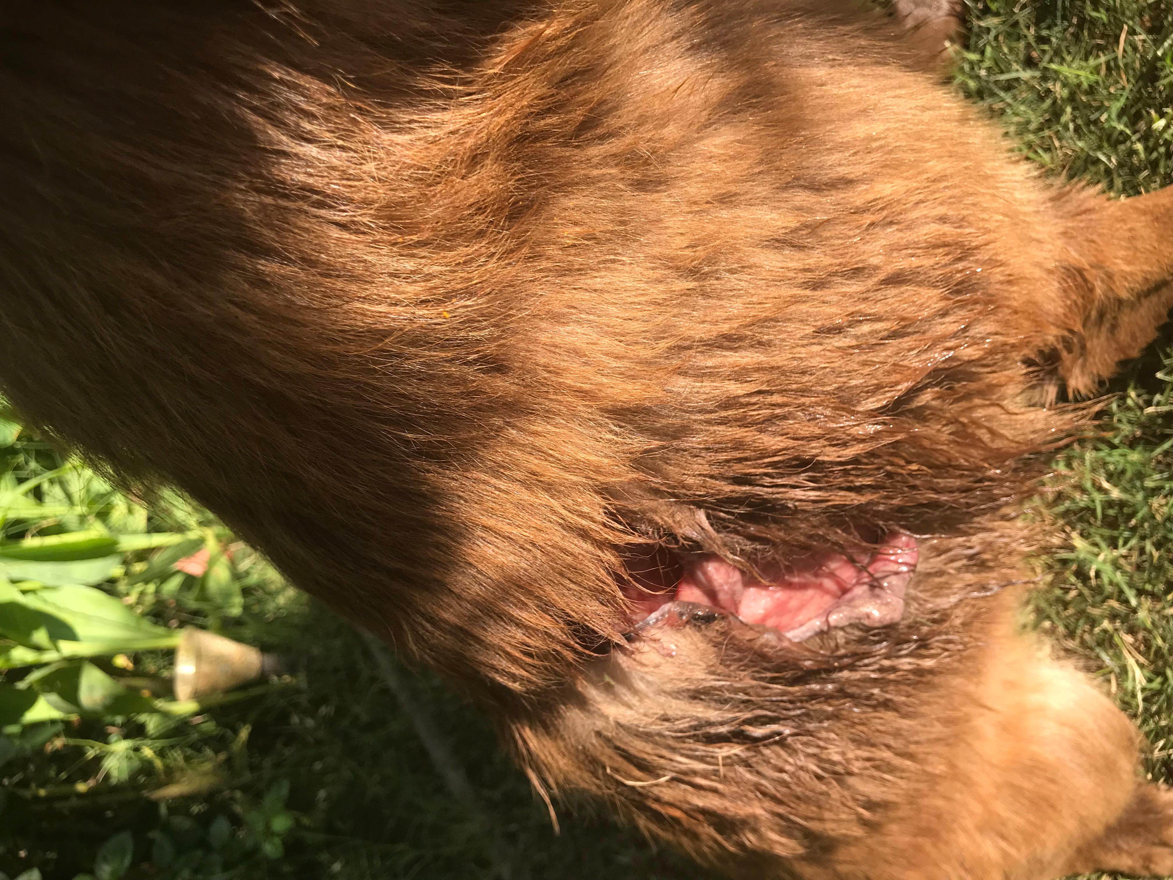 Question details sensitive content