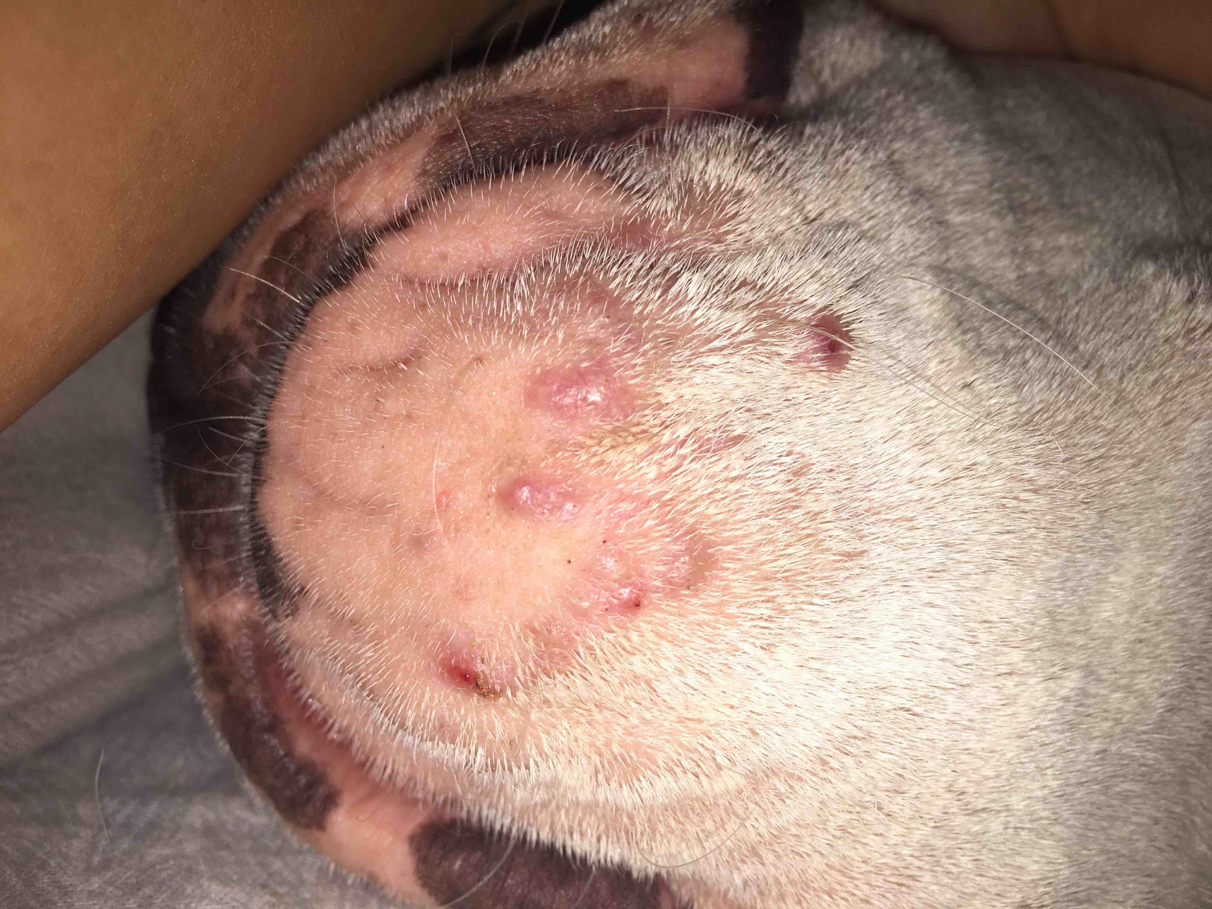 Question details sensitive content