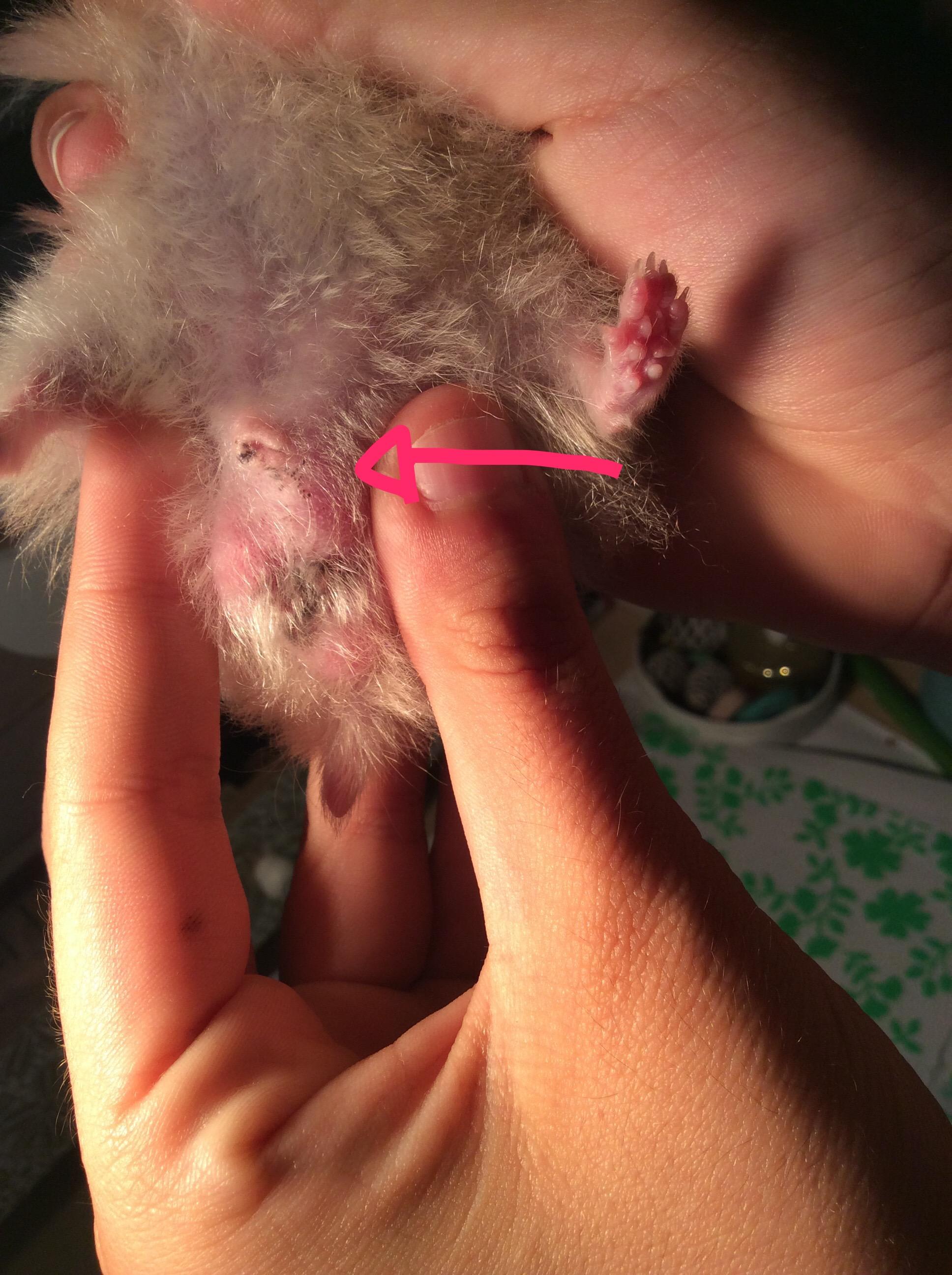 Question details sensitive content