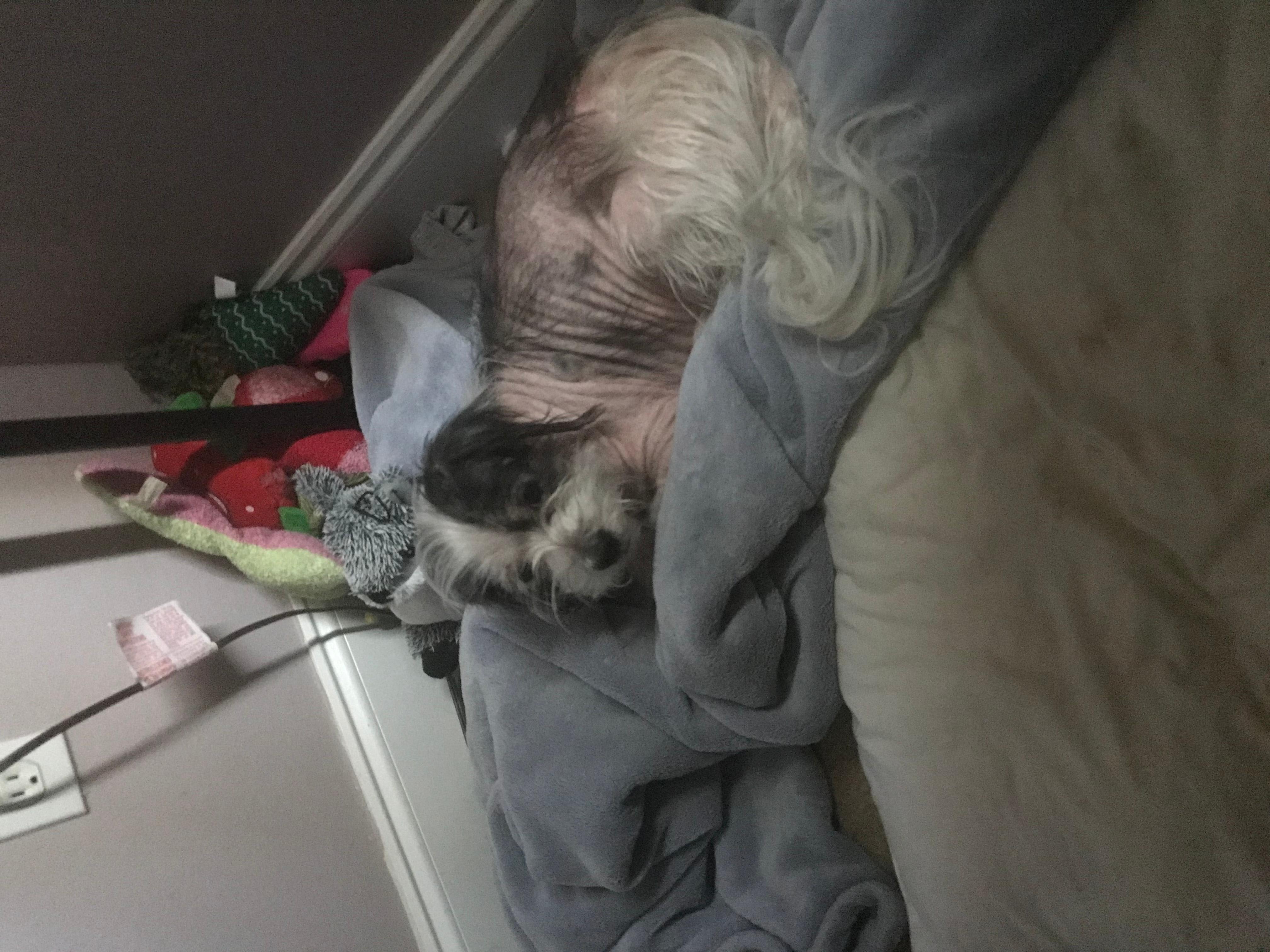 Question details sensitive content