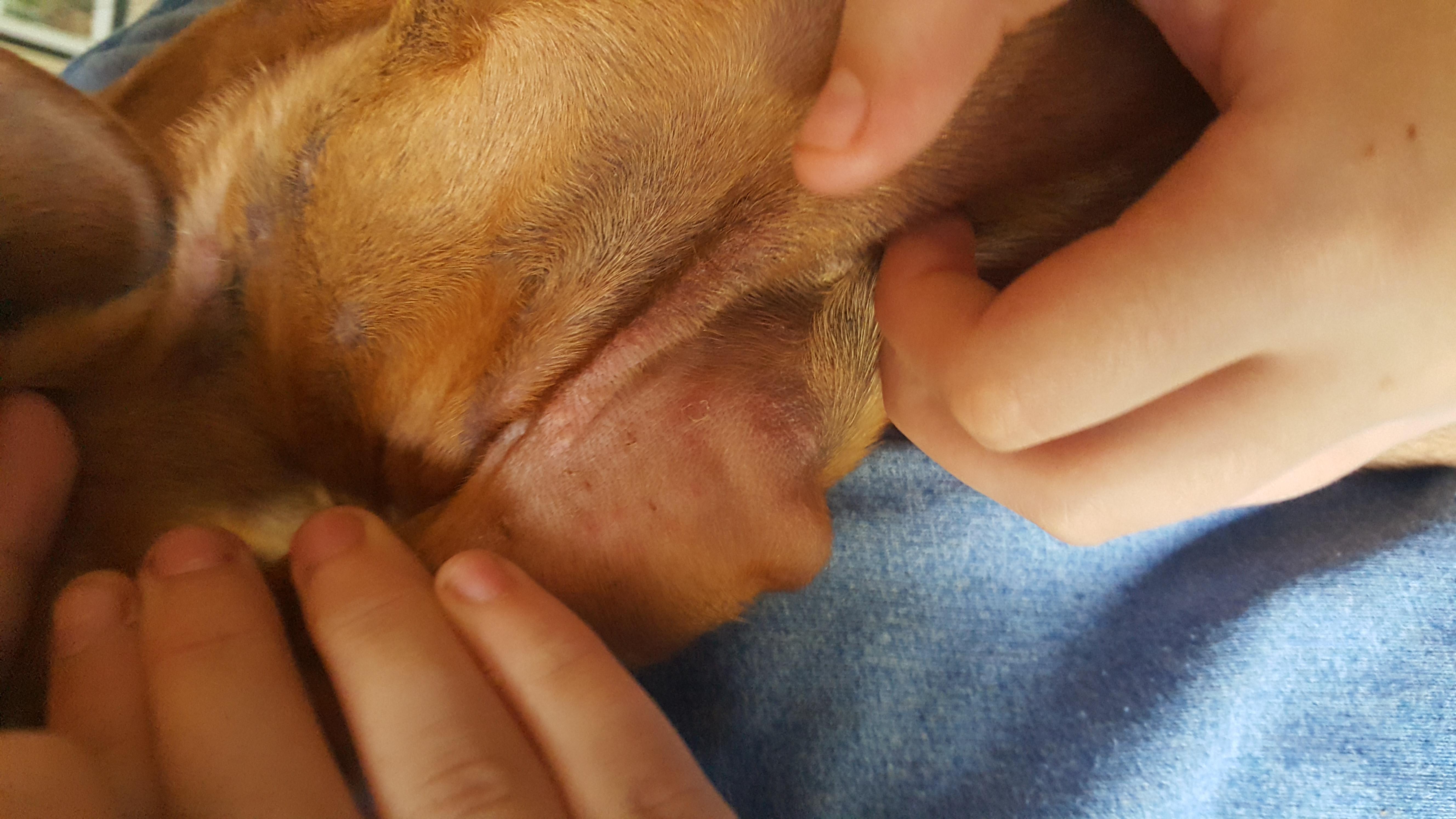 Question details sensitive content