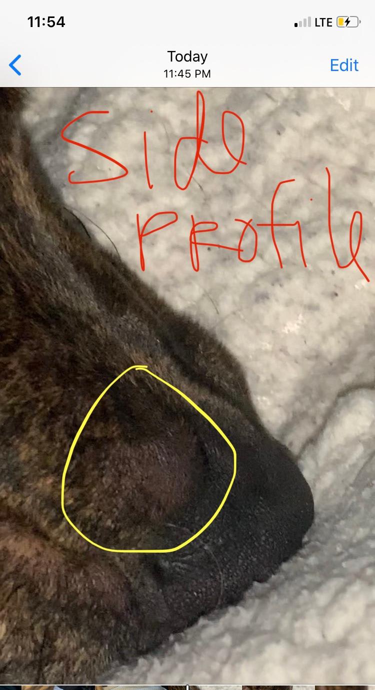 Question details sensitive content