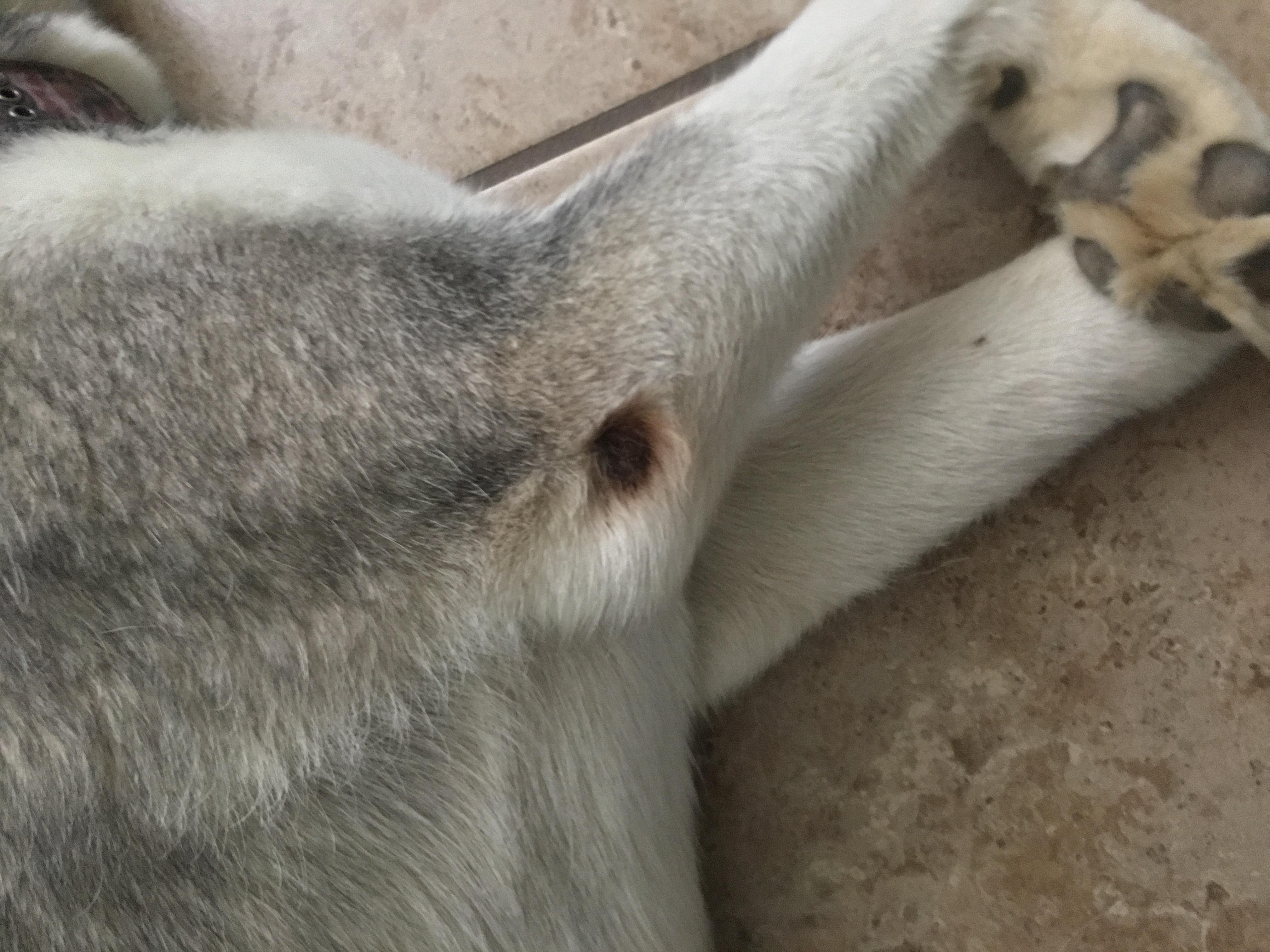 Question details sensitive content