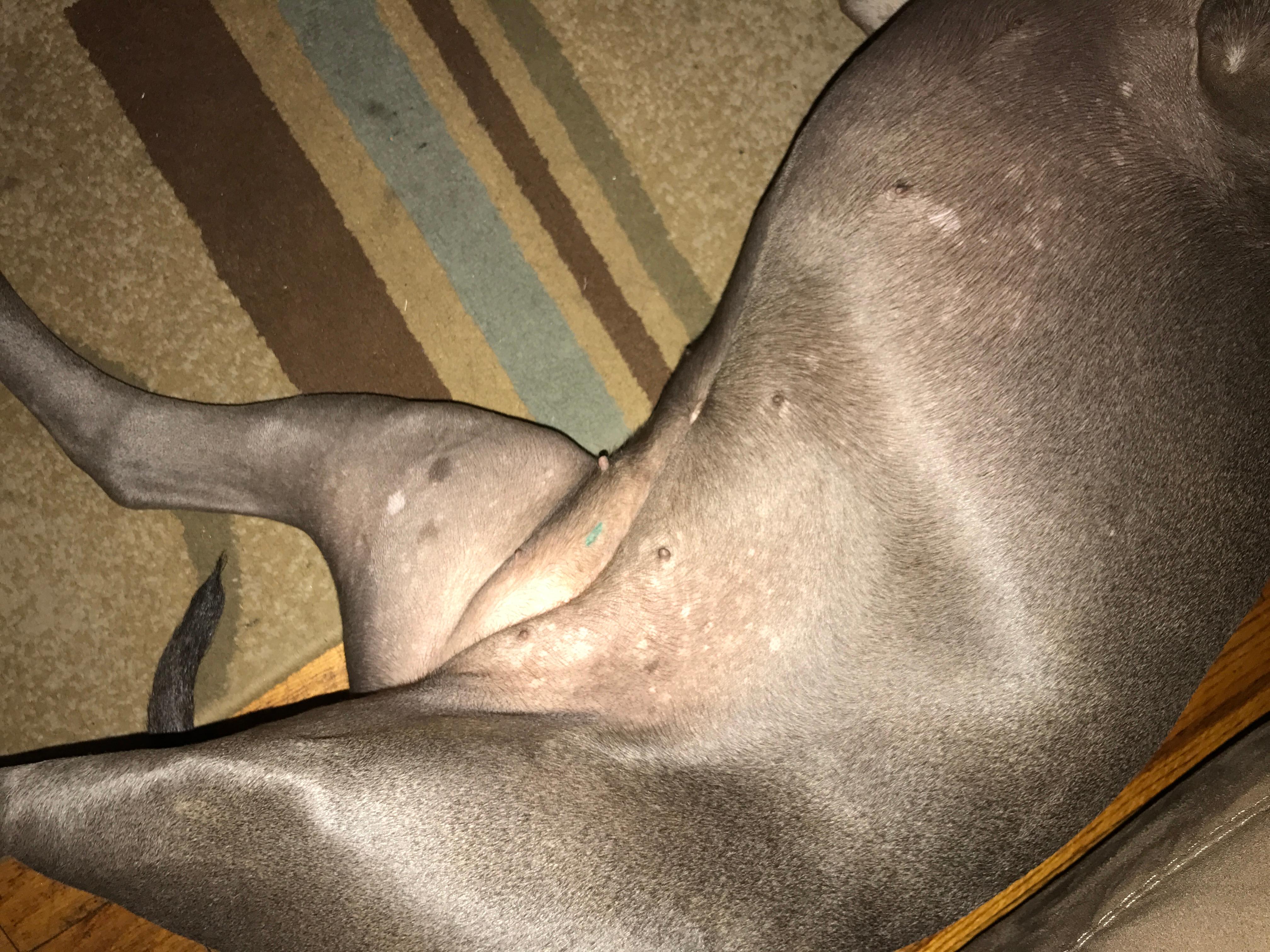 Question details sensitive content