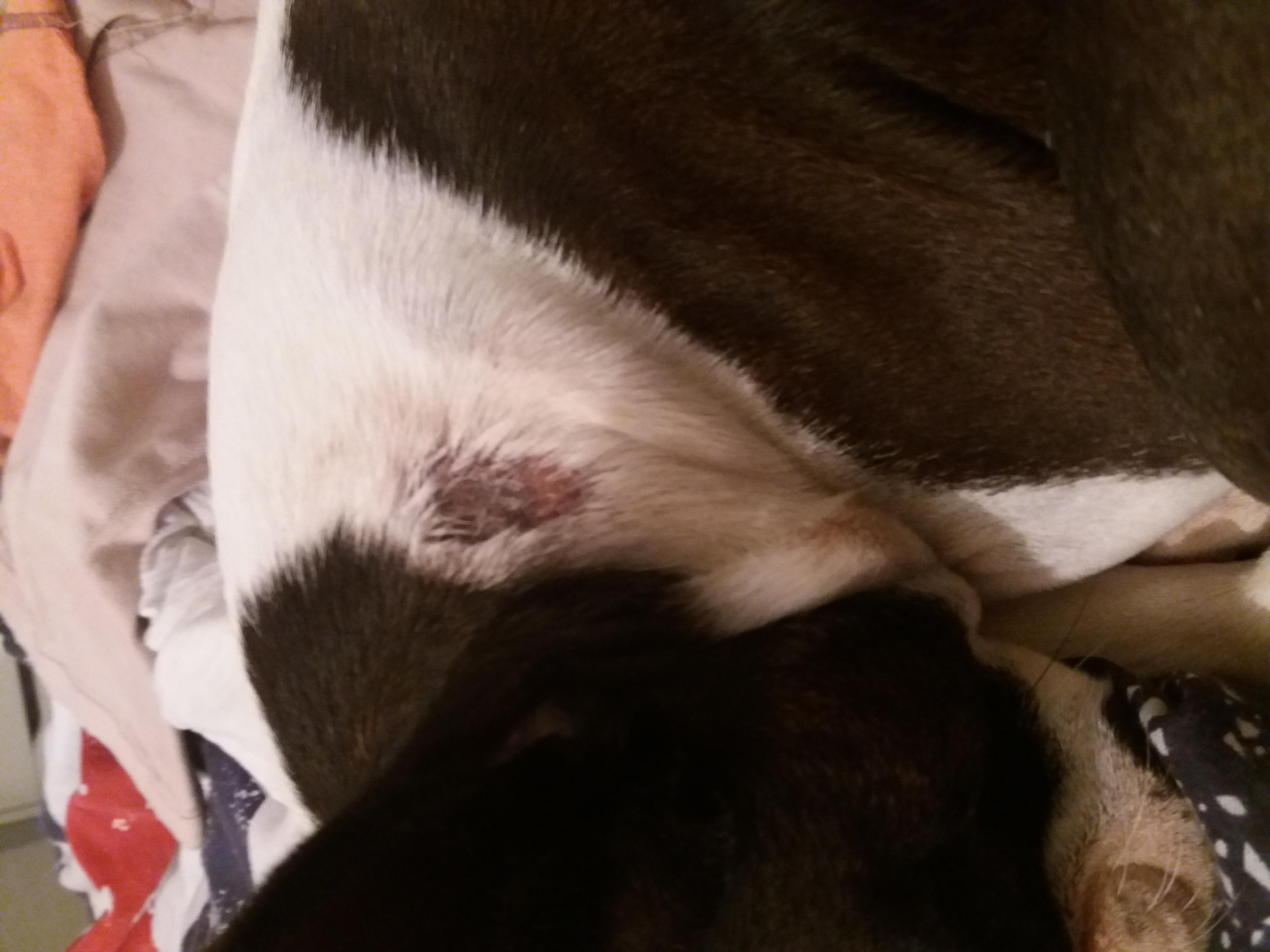 Question details sensitive content